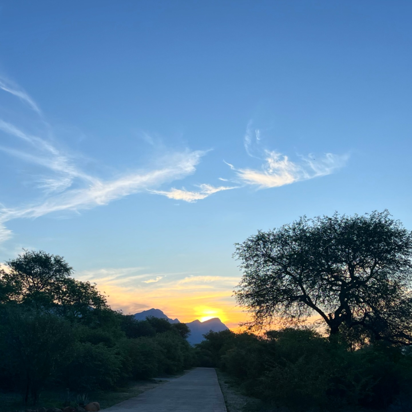 Magic mountain glow 🐉