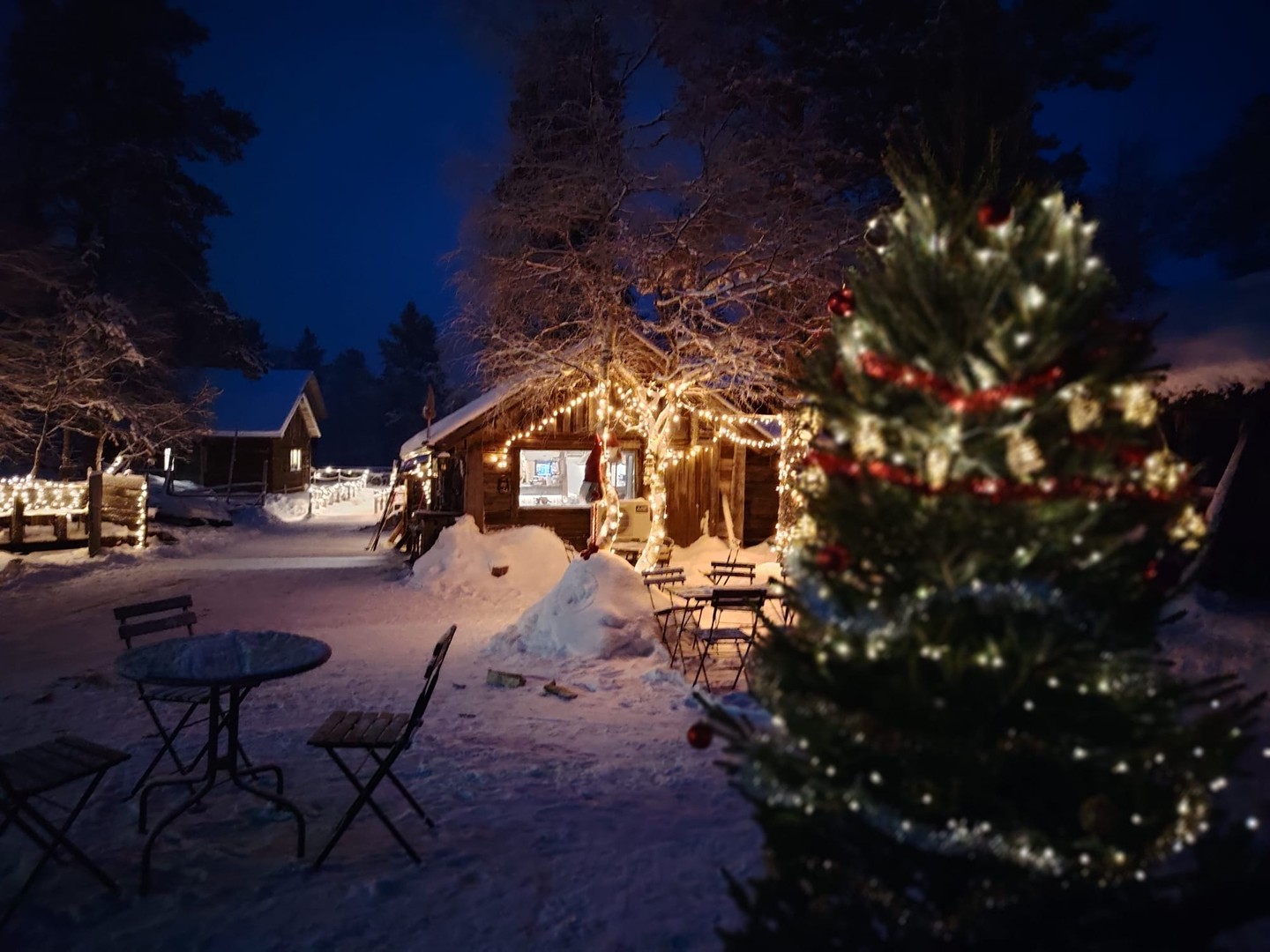 Joulu alkaa olla ovella Mettäbaarissakin tonttujen valvovien silmien alla. ❄️✨
Maisemat ovat kuin suoraan joulukortista.
ㅤ
Tervetuloa fiilistelemään glögille, kaakaolle, raakkutotille tai keittolounaalle – nyt on vibat kohdillaan. ❤️
ㅤ
Terveisin,
Mettäbaarin väki
ㅤ
#Mettäbaari #Saariselkä #Christmasvibes #Joulukortti
ㅤ
Christmas is just around the corner at Mettäbaari, under the watchful eyes of our little elves. ❄️✨
The scenery looks like it’s straight from a holiday postcard.
ㅤ
Come warm up with mulled wine, hot chocolate, a cloudberry toddy or a comforting soup lunch – the vibes are just right. ❤️
ㅤ
Warm regards,
The Mettäbaari Team