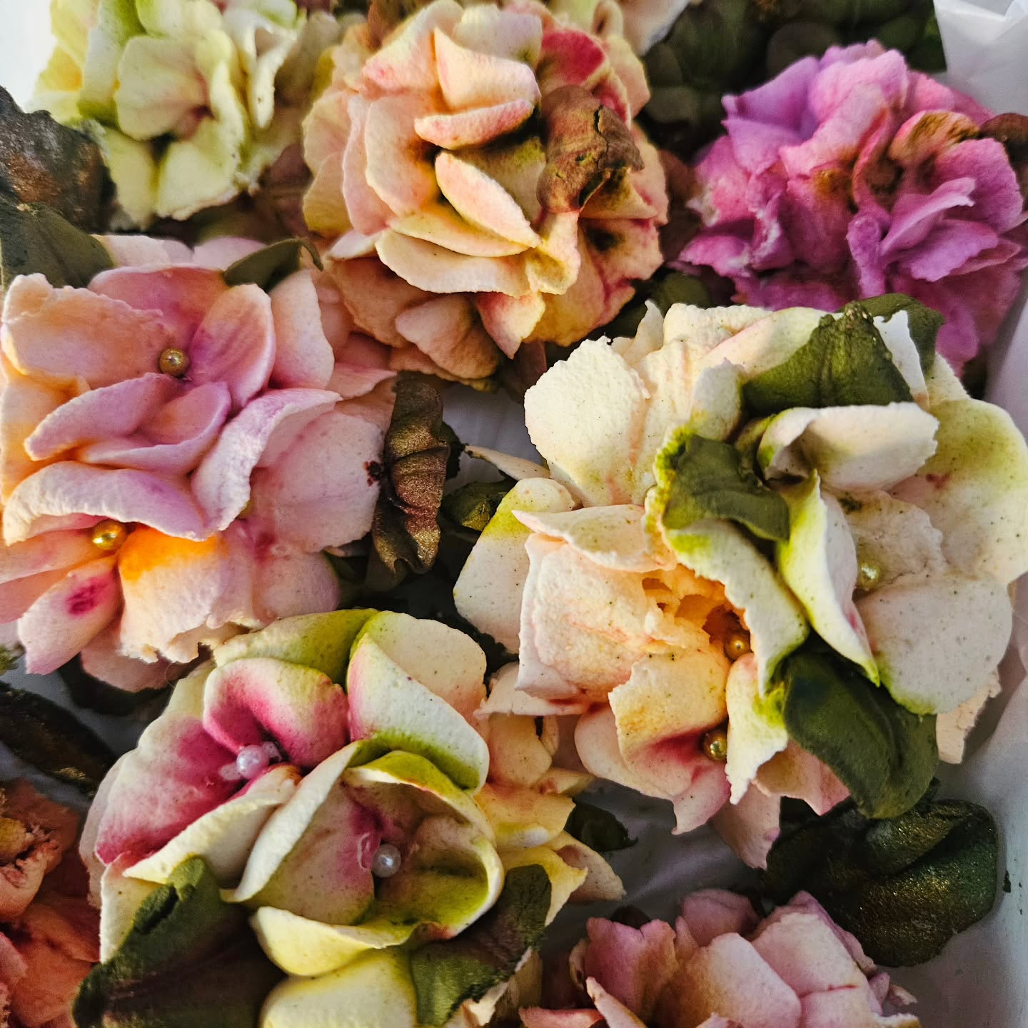 Omg, dit is een soort gebak! Smaak is appel... Dit is toch te mooi om op te eten? Dit is gewoon een kunstwerk! Met dank aan mijn broer/schoonzus die dit bijzondere gebak mee brachten . Het is gemaakt door een Oekraïense. Een feestje om dit mogen eten...
#gebak #Oekraïens #jammie