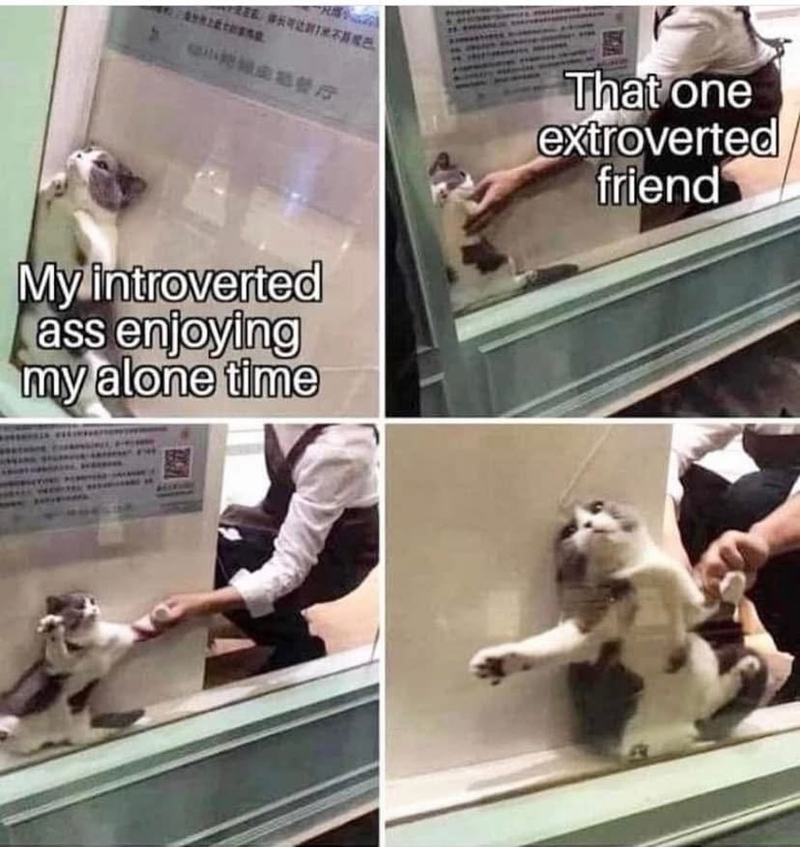 This it the version of me that most of you don’t know…
I’ll resist ANYONE that tries to get me out, when I don’t want to go. To the death 🤣😂