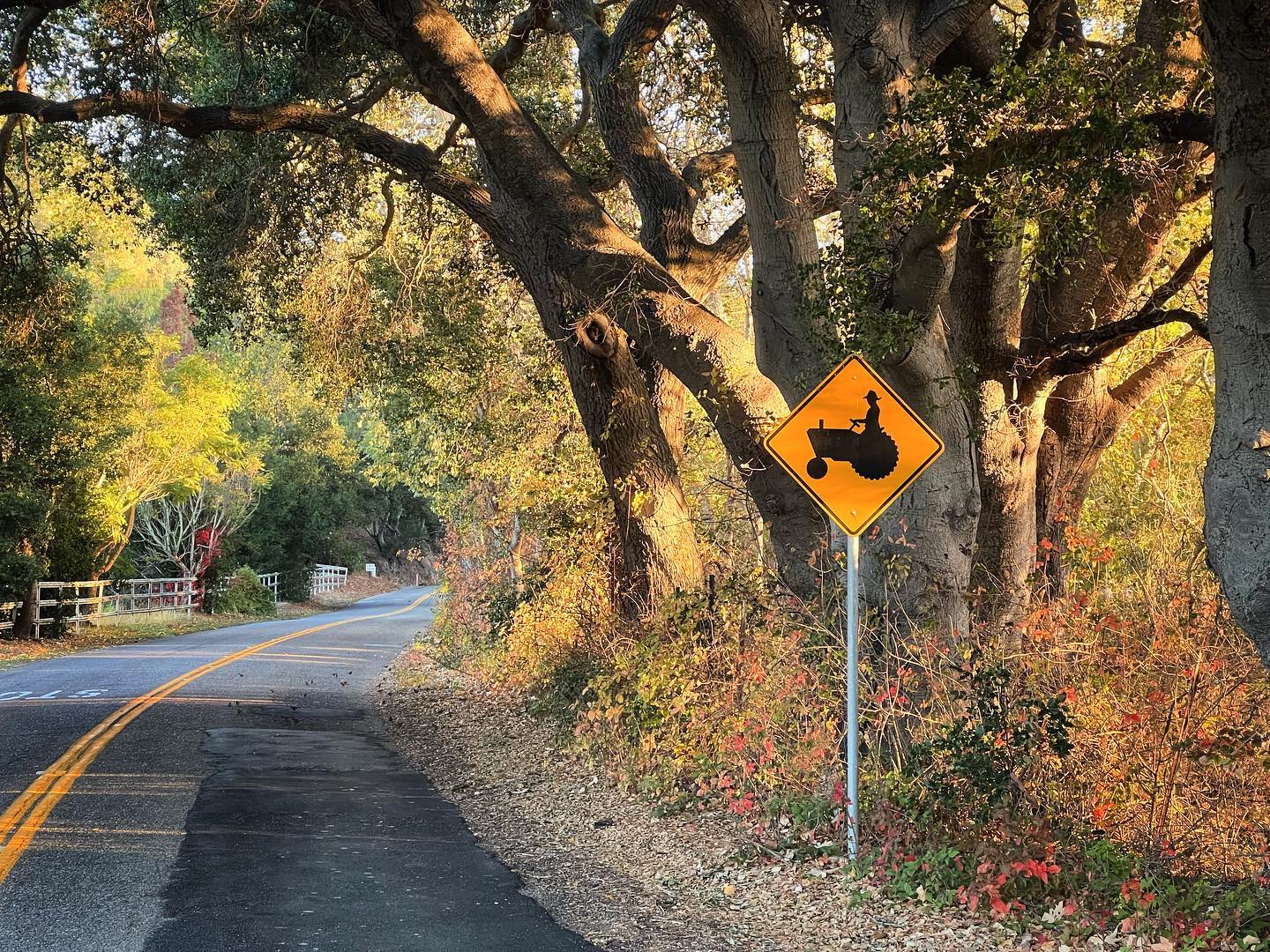 See Canyon Road is a country road used by autos, joggers, bikers, farm equipment and native animals, especially deer. The combination of these users, the hills and curves of the road make for an adventurous drive every time. Relax, share the road with others and enjoy the 7 minute journey to the cabin.