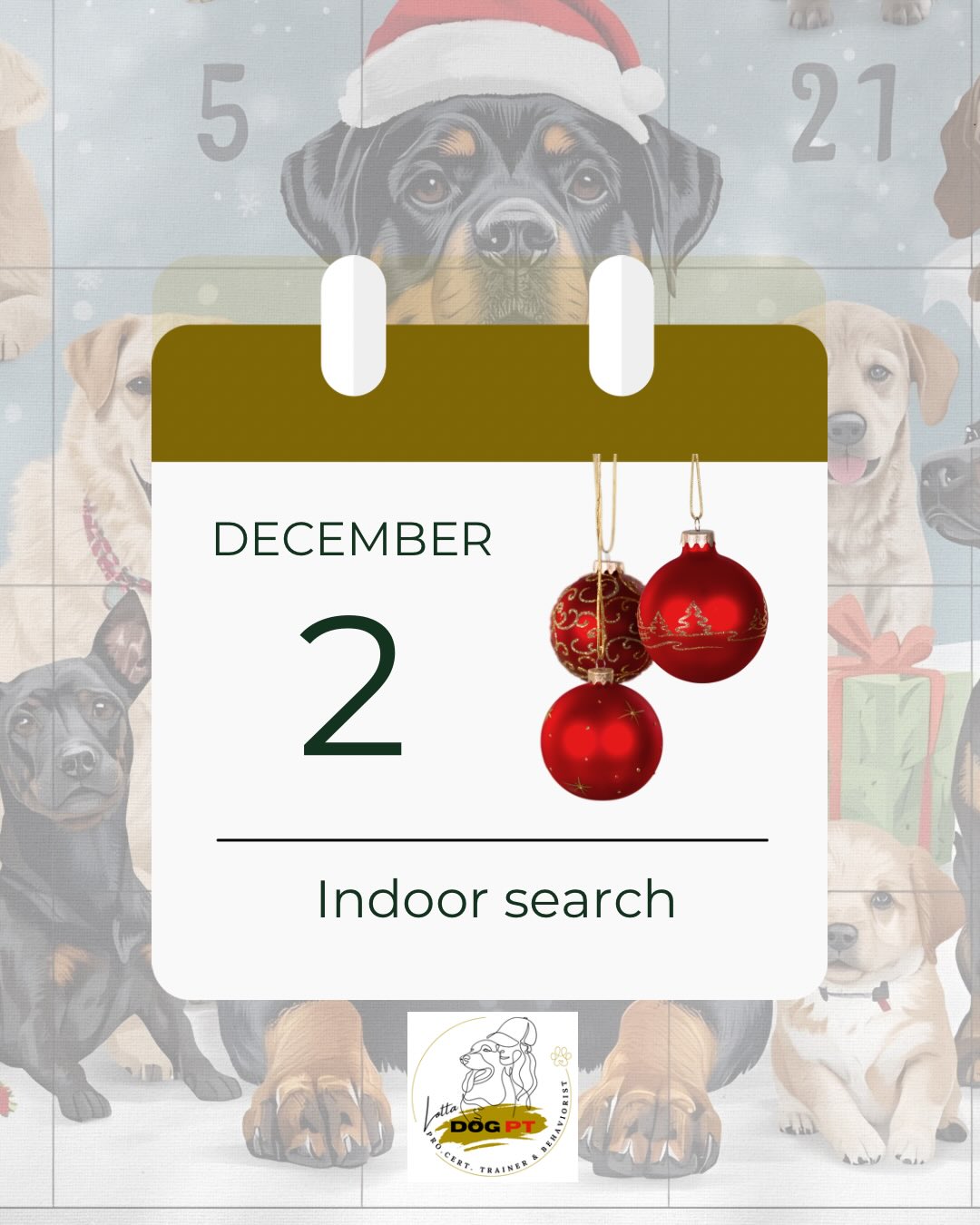 🎄DAY 2 – Indoor Search (simple nosework for calm & focus)
Today’s idea is to use the nose, an easy way to create calm, focus and balanced enrichment in just a few minutes.
We started in the hallway. A small, defined space makes it easy for the dog to succeed, especially in the beginning.
Step 1 – Easy success
I let Ecco sit and watch while I hide 5 treats in a small area.
Then I give my search cue (you can use any word you like!) and let him explore.
Every time he finds something, he gets a soft “yes” or “good”, just to confirm he’s on the right track.
This is perfect for beginners, puppies and dogs who get easily excited.
Sniffing calms the mind, boosts confidence and creates deep satisfaction.
Step 2 – When your dog understands the game
Once your dog knows what “search” means, you can make it a bit harder:
🌟 Hide treats without the dog watching
🌟 Spread them across different rooms
🌟 Use different height levels (on shoes, under a chair, behind a door)
In video 2, Ecco searches in several rooms. He absolutely loves this. I start with him staying in one room while I hide the treats in other rooms. Then I go back to him and give the search command.
Why this works so well:
• Nosework lowers stress
• It creates the right kind of tired
• Perfect indoor activity on rainy or cold days
• Builds confidence
• Builds cooperation without pressure
• Suitable for all ages and personalities
Small things. Big effect.
Hope you’ll keep following along with us. Small steps, often, that’s how both dogs and humans grow. ❣️🐾
#nosework #searchtrainingdog #dogtrainingisfun #dogtrainerlife #rottweilertraining #christmascalendar #lottadogpt