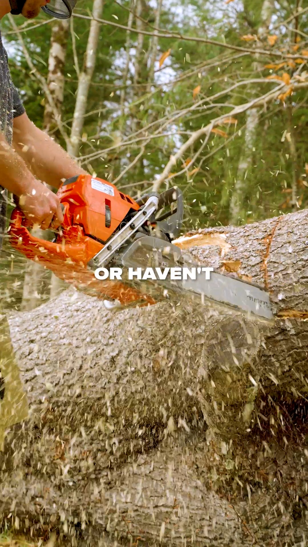 Send this to your favorite groundie.
Appreciation post for our crew that goes hard and gets it done every single day.
.
.
.
.
#belangertreecare #arborist #arboristsofinstagram
#skowhegan #skowheganmaine #forestry #chainsaws
#centralmaine #mainebusiness #treecare
#treecarebusiness #treeclimbers #logging