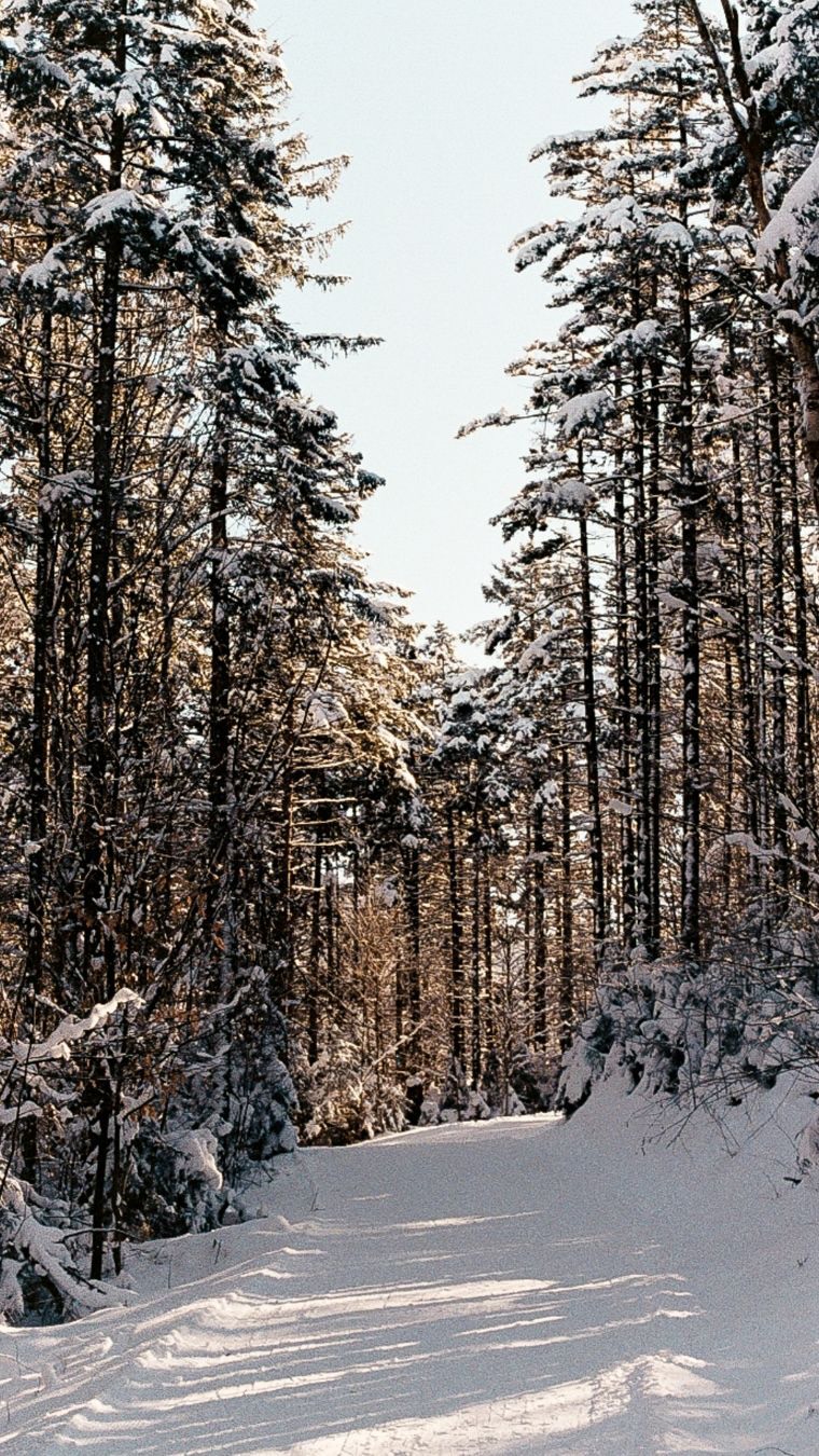 If you’ve ever thought,
“I love my photos… I just don’t always know what to do with them,”
this is for you.
I put together a free, practical guide with 30 ways to use your outdoor branding photos across your business — no hype, just ideas you can actually use.
✨ Link in bio
✨ Save this for later
✨ Share with someone building something outdoors