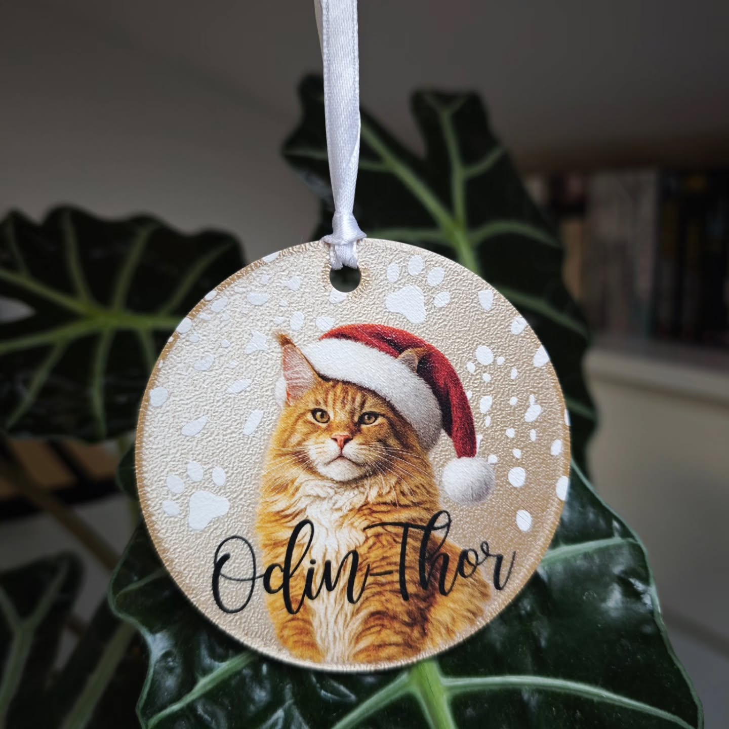 Na Irinini smrečici tokrat kraljuje Odin – čudovit muc, pasme Maine Coon
🐾✨
Prav ona nas je prva »pocukala za rokav« in skupaj smo ustvarili ta čudovit personaliziran obesek z UV tiskom.
In ja – tak okrasek lahko nastane tudi z VAŠIM ljubljenčkom 🐶🐱🐴🐢 … dodamo še poljuben napis in nastane unikatno darilo, ki ima dušo.
🎁 Popolna ideja za vse mačkoljubce, pasjeljubce, živaloljubce...
📩 Naročila sprejemamo v DM
#uvtisk
#pikadizajn3dtisk
#personaliziranodarilo
#christmastime🎄