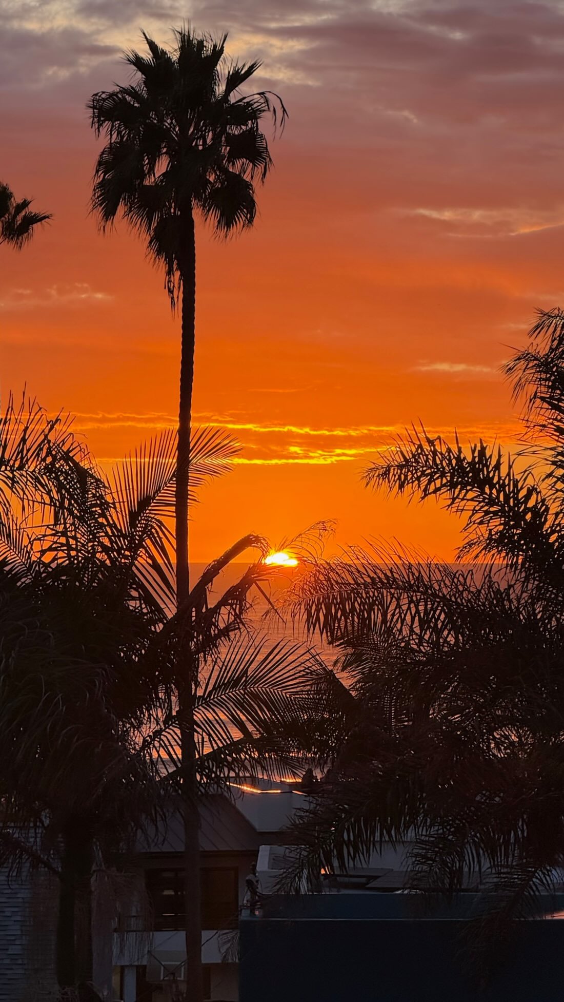 it’s so important to love where you live 🥹
#sandiegolife #sandiego #pacificbeach