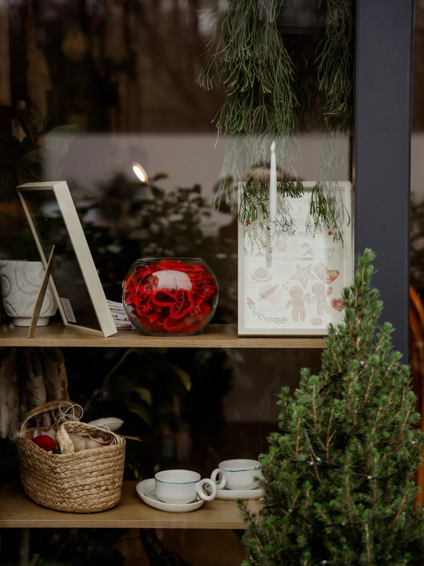 December feeling 🤍🌲✨️