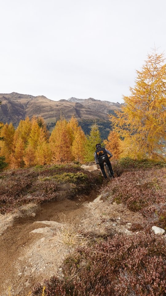 Vermisst ihr schon die Mountain-Vibes ?
🚲 @norcobicycles range
🏔 @davosklostersmountains
🥋 @ion_switzerland
⛑️ @tld_bike
🧤 @ride100percent
🎒 @uswesports
www.stoeri-herisau.ch
Wir haben viele Neuigkeiten bei uns im Shop. Schau vorbei auf ein Espressi und wir zeigen dir was dein Bikeherz begeehrt oder wie wir deine Bike besser performan lassen.
#mtbenduro#mtbswitzerland#soenduro#stoeri2radcenterherisau#mountains#outsideisfree