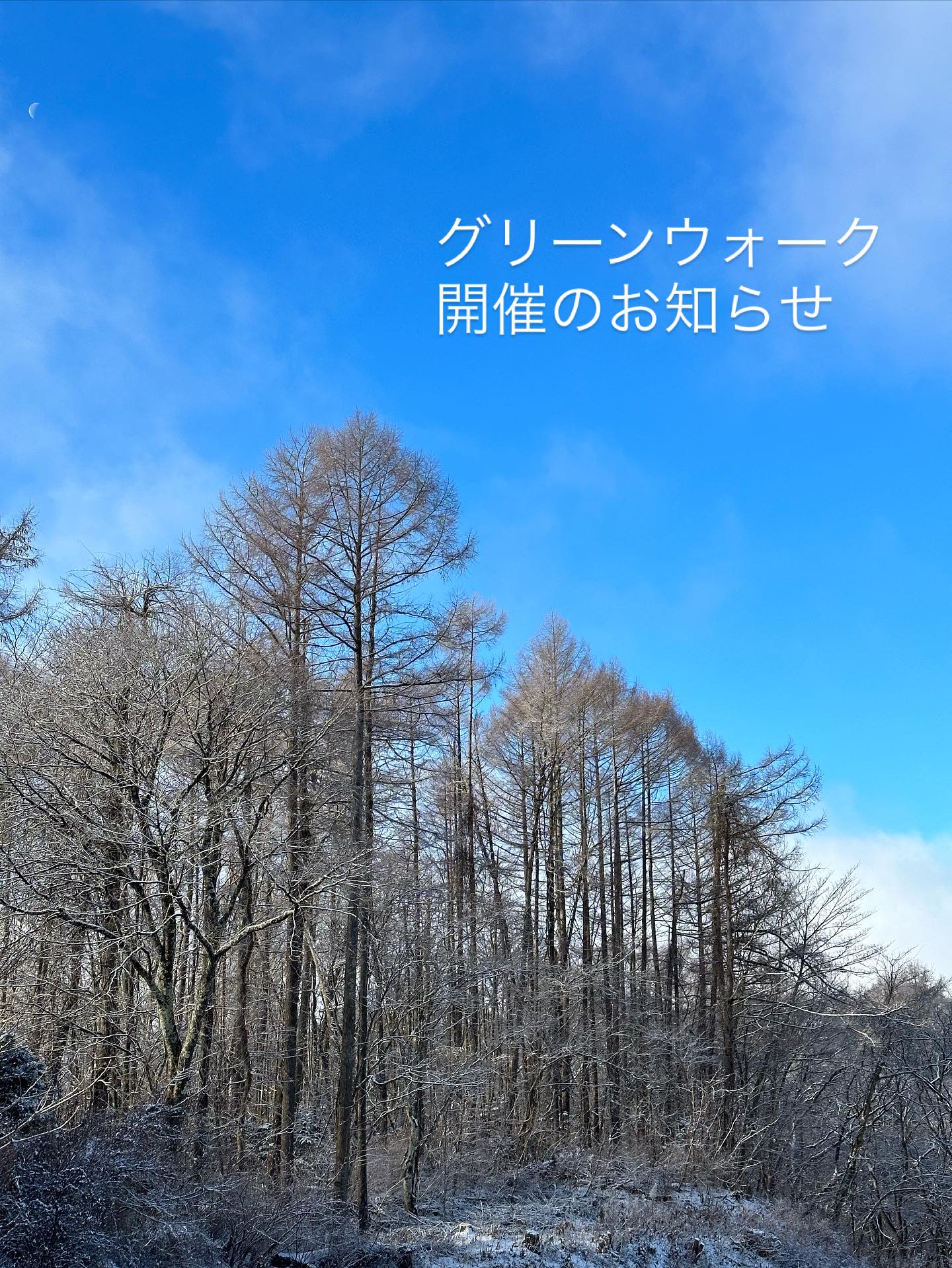 雪が降る前に
年内最終の活動についてご案内です。
12/7日曜日9:00-10:00
🌿グリーンウォーク🍃
(軽井沢散歩&ゴミ拾い)
エリア: 中軽井沢駅周辺
集合場所: 中軽井沢駅前
駐車場: 82銀行又は図書館(図書館カードがある方は4時間無料)
持ち物: 手袋
ゴミ拾い用トング(なくても大丈夫です)
*クリスマスマルシェの移動販売あり。今日マルシェに並んだ商品も一部お持ちしますので、ぜひご覧ください。
参加者はご連絡いただけるとありがたいです🙏🏻
#軽井沢 #ゴミ拾い #森の暮らし #軽井沢を森のままに