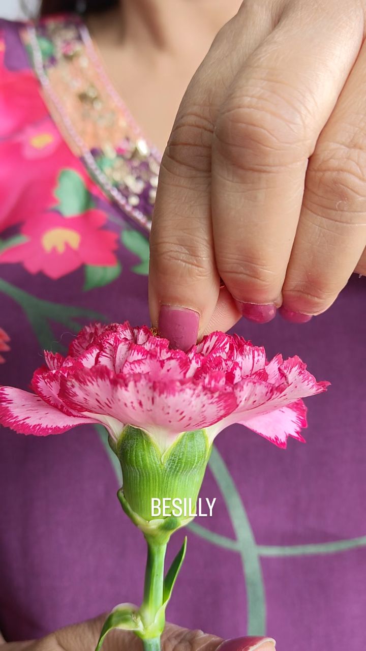 Meet the butterfly necklace 🦋 - your new favourite every day essential ✨.
.
.
.
Link in bio🔗
.
.
.
#besilly #butterflyjewelry #newarrival #daintyjewelry #waterproofjewelry
.
.
.
Besilly, Butterfly necklace, new arrivals, dainty, stainless steel, waterproof, cute jewellery