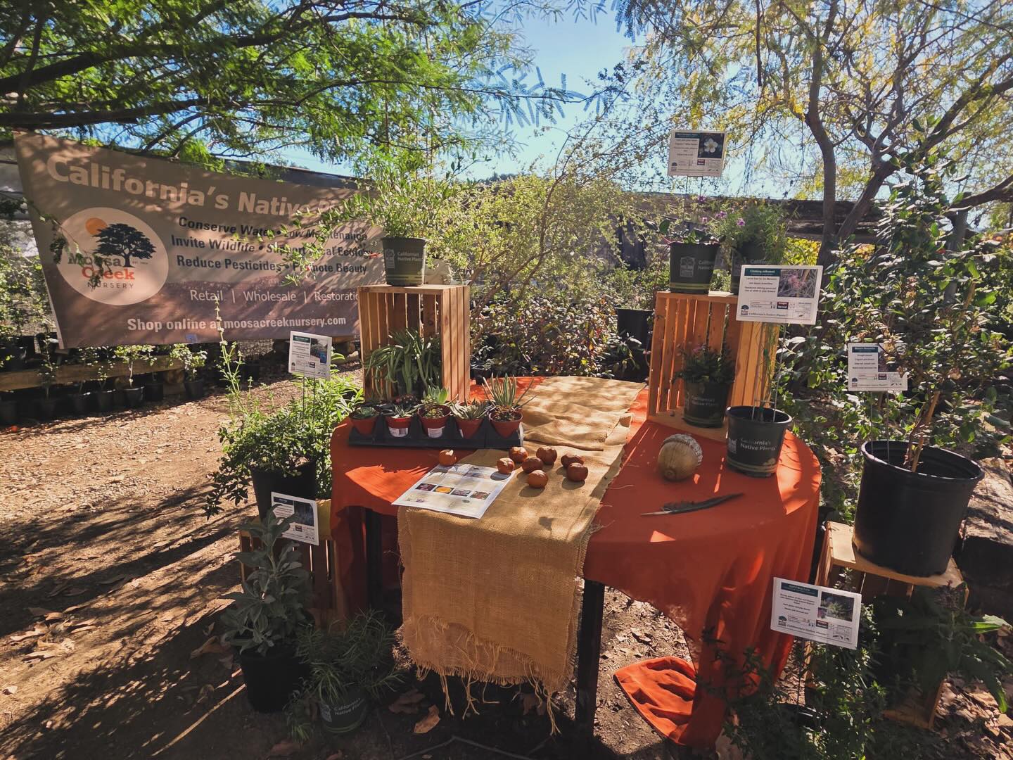 “Sad to see them go but their legacy will always remain” Thank you for all you have done for California native plants! 🌱