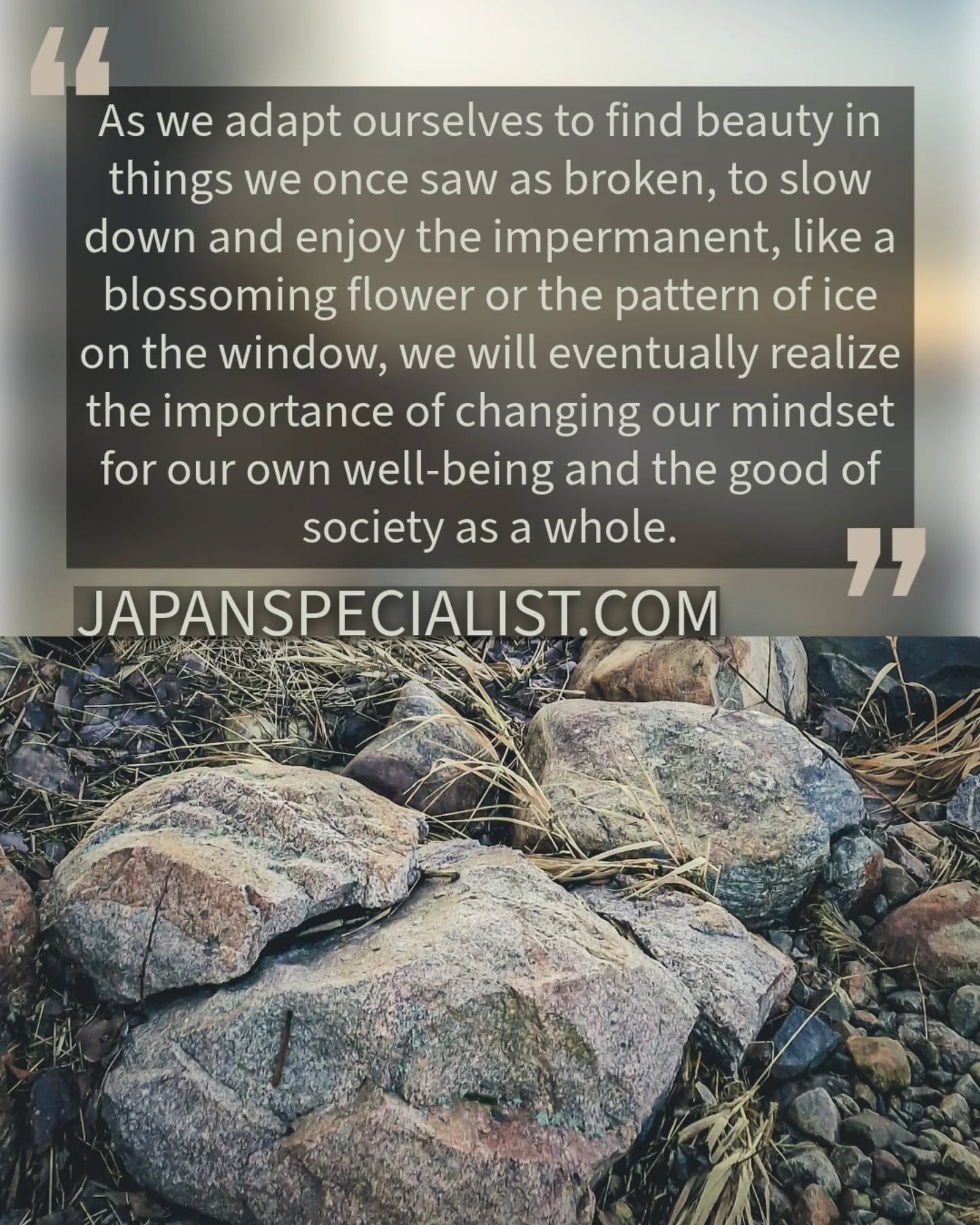 A quote from a post about Wabi Sabi on japanspecialist.com
.
#wabisabi #wabisabimaker #mindsetforhappiness #beatyintheeveryday