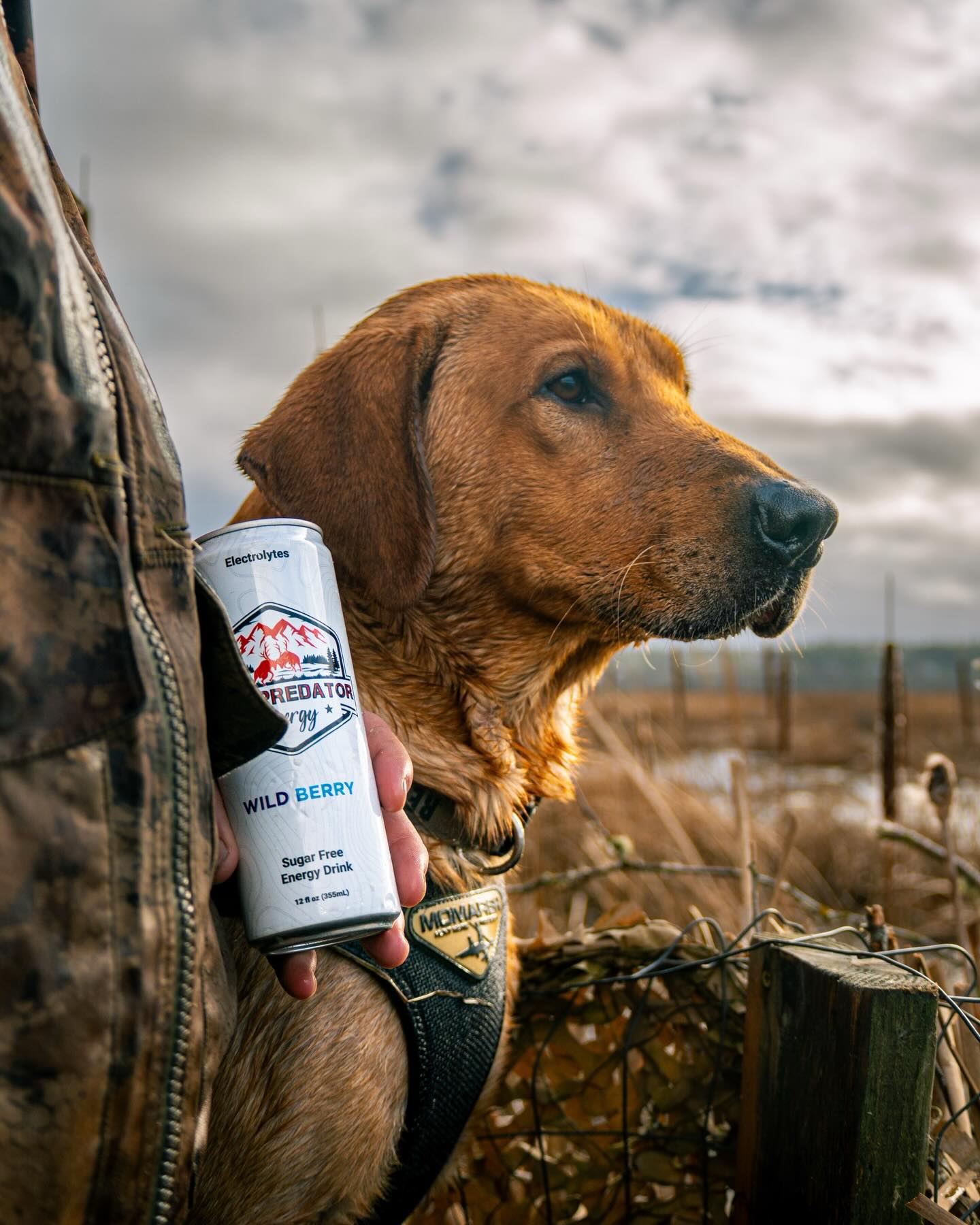 Built for long days, cold mornings, and loyalty that never quits.
Fueling the grind in the field with Apex Predator Energy clean energy, no sugar, and made for those who stay after it until the work is done.
#APEXPREDATORENERGY #hunt_az #bowhuntingaz #arizonahunting #elkhunting #muledeerhunting #coueswhitetail #bowhunt #hunting #duckhunting #huntinggear #elk #westernhunting #energydrink #robinsonarchery #rossoutdoors #bullbasinarchery