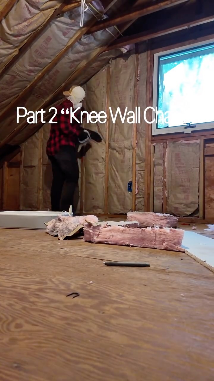 Part 2 of The Studio Build Diaries ✨
Insulation complete, knee walls underway. I cut the top plate to match the roof pitch (overkill according to the pros - but here we are). Shelving bays incoming. We’re making moves!
#TheStudioBuildDiaries #StudioBuild #OfficeRenovation #GarageRenovation #PodcastStudio #DIYRenovation #HomeRenovation #BeforeAndAfter #ContentCreatorLife #NoIdeaWhatImDoing #BehindTheScenes #CreatorJourney #SendHelp