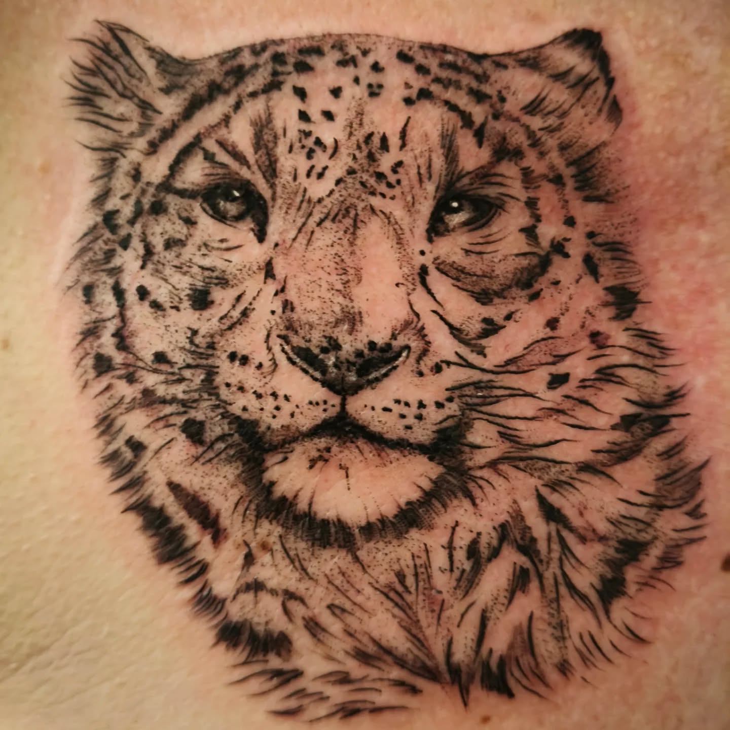 ✨ Krafttier Schneeleopard ✨
Er ist voll präsent, und doch flüchtig wie ein Schatten in den Bergen.
Verkörpert Sanftheit, Weisheit, Ruhe und Kraft. Die Berge sind sein Reich.
✨ Encre d'Or ✨