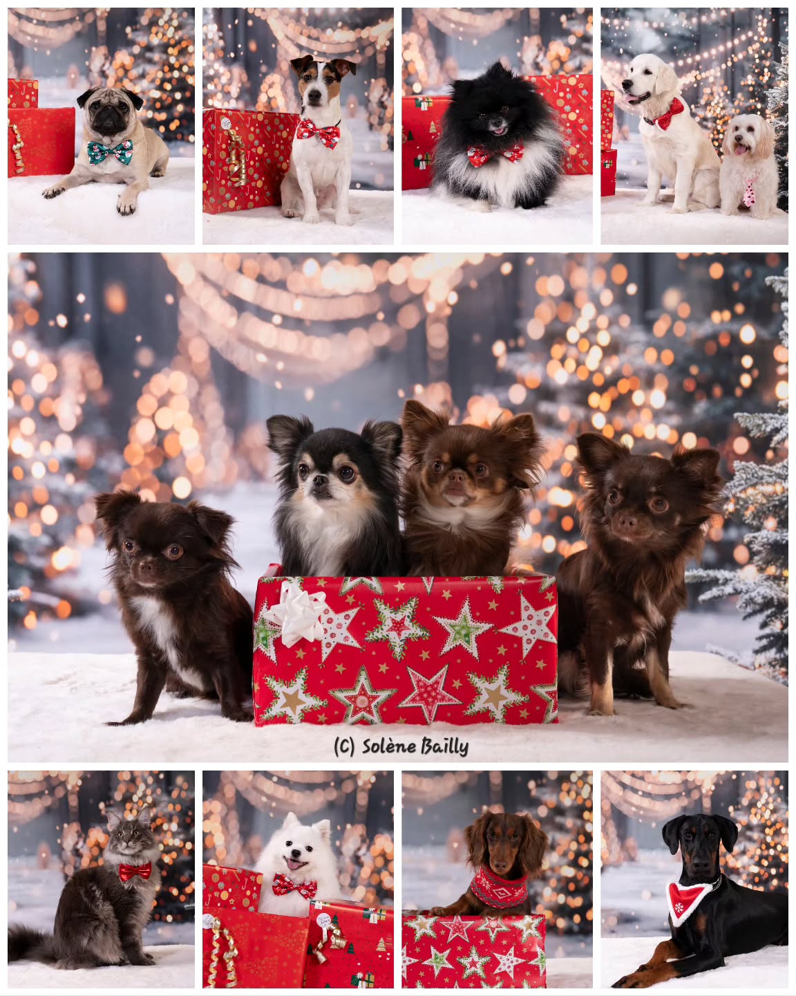 Quelques tops modèles d'aujourd'hui ! Un grand merci à tous ceux qui sont venus nous voir au JMT CHOLET, bientôt le tirage au sort pour gagner un cadeau surprise !
#shootingnoel #seancephotonoel #noel #noel2025 #shootingphoto