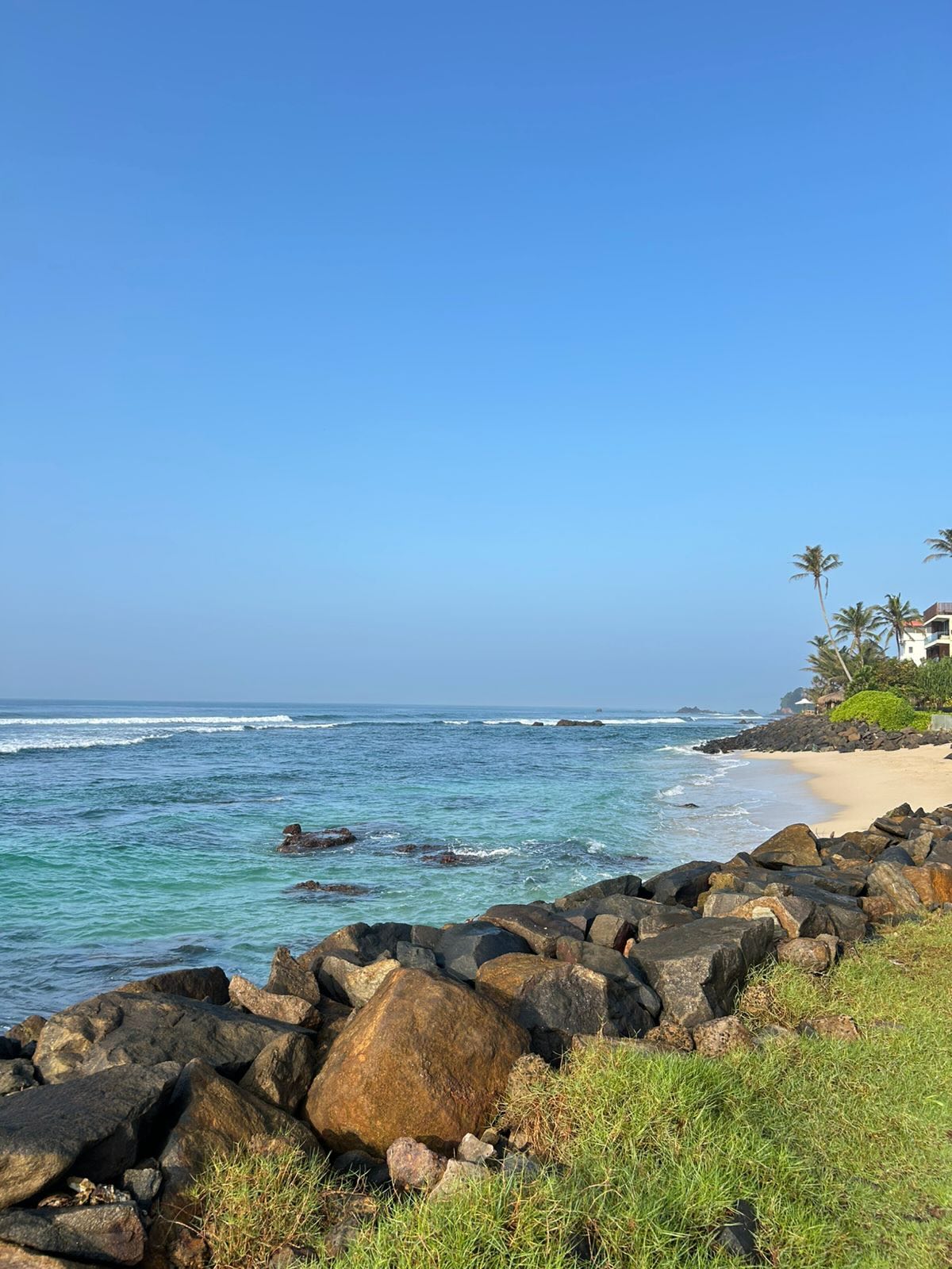 Heading out at sunrise, exploring wild places and chasing the first waves of the day 🏄♀️ #surf #talpe #ahangama #fun #morningfun #beachlife #befireschool #waves #travel #srilankatravel #southsrilanka