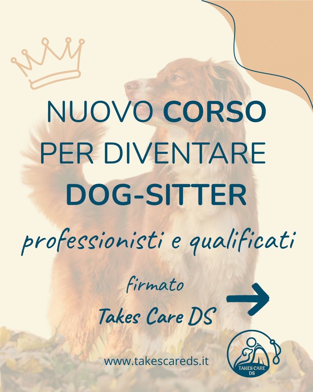 La piattaforma Takes Care DS nasce dall’esigenza di trovare dog sitter esperti, preparati e consapevoli, per non affidare le famiglie e i loro cani a persone che lavorano senza una reale formazione.
Perché prendersi cura di un cane non è un gioco, né qualcosa da improvvisare.
Significa conoscere i comportamenti, saper gestire le situazioni, rispettare i bisogni del cane e costruire un rapporto di fiducia con le famiglie.
E quale modo migliore, se non formarli noi stessi?
✨ Takes Care DS firma il corso per diventare Dog Sitter Professionista
Un percorso strutturato per chi vuole lavorare con i cani in modo serio, responsabile e professionale.
🎥 Serata online di presentazione
Un momento dedicato per scoprire il corso, conoscere il metodo Takes Care DS e capire se questo percorso è quello giusto per te.
👉 Se vuoi essere tra i migliori, questo è il punto di partenza.
📩 link in bio per partecipare
#corsi #dogsitter #corsodogsitter #corsodogsitter #dogsitterlife