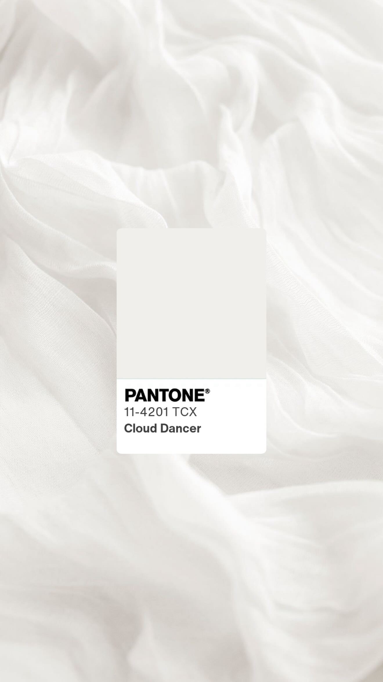 Hello, 2026 color of the year! A shade that screams “I do” 😍🕊️🤍.