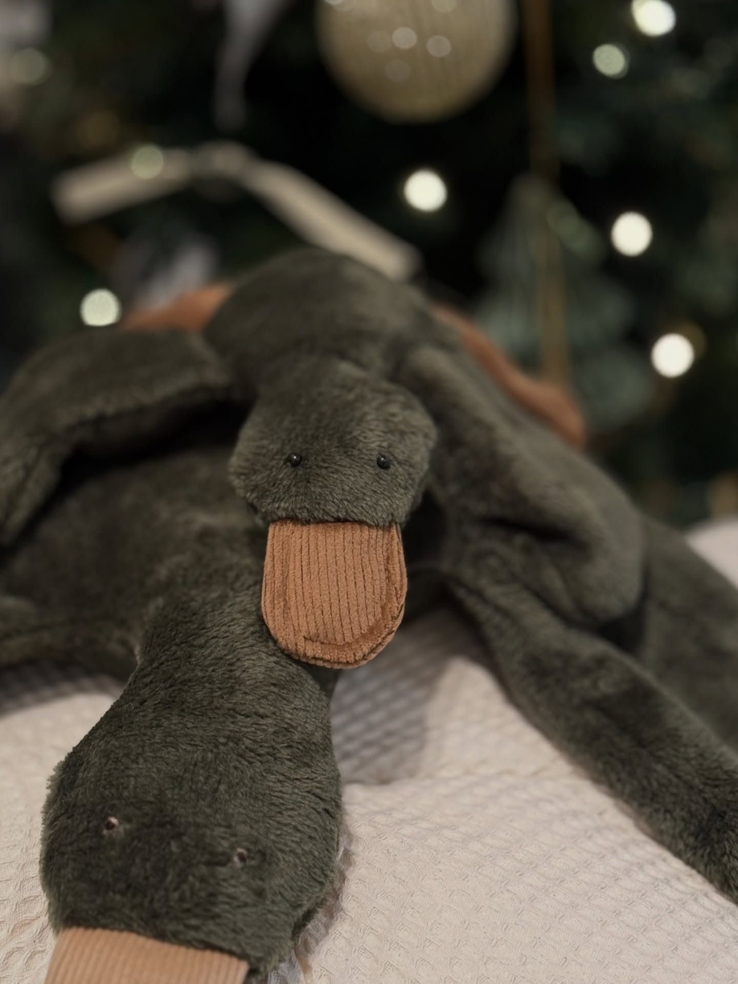 Op een avond, net voordat de kerstlichtjes aangingen, lag Lulu stil onder de boom.
Ze luisterde naar het zachte gerinkel van kerstballen en het fluisteren van cadeautjespapier.
Iedereen sliep al — maar Lulu was wakker.
Ze hield de wacht.
Voor warme dromen, voor kleine handen die haar straks zouden vinden.
Ze wist: met Kerst hoef je niet groot te zijn om iets bijzonders te betekenen.
Lulu voor eindeloze knuffels, geheime verhaaltjes en een winter vol samen zijn — een kerstvriendje voor altijd.
studioikke #lulu #luluknuffel #kerstknuffel #kerstcadeau #handgemaakt #zachtenspeels #knuffelvriend #duurzaamspelen #kinderkamer #conceptstore #utrecht #kleinemomenten #eerste kerst