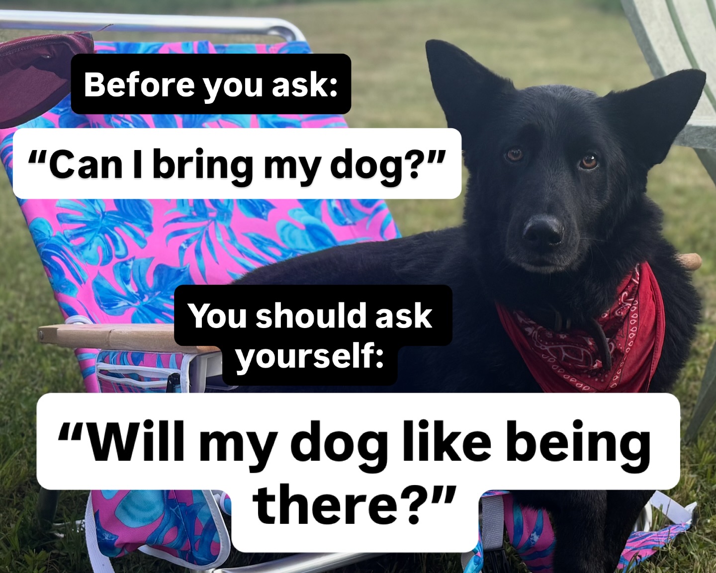 “Can I bring my dog?”
Before we even ask this question, we need to ask ourselves “Will my dog enjoy being there?”
Not every environment is suitable for dogs, and if it is, is it suitable for yours?
I often see dogs in places where people LOVE to have them:
Farmers Markets
Breweries
Parades
Outdoor Shopping Centers
Restaurant Patios
Sports Games
The list goes on…
However, almost every time I see someone with a stressed or anxious dog that is not exactly loving this experience and the people don’t seem to notice that.
Then a person, another dog, waitstaff, loud truck or something goes by and the dog reacts in a way the owners weren’t expecting.
Some people then get pretty upset with their dogs and usually say something like “well they’ve never done that anywhere before!”
We need to take into consideration our dog’s feelings and their limits.
We want them to be with us as much as possible because we love them and cherish our all too short time with them…but most dogs just aren’t comfortable with busy, loud, crowded spaces where they are “stuck” on a leash.
Aways ask the question “Will my dog enjoy this experience?” before just taking them along. Many dogs would rather be home, in their safe space, waiting for a couple hours. Rather than expected to conform and be comfortable in a situation they don’t understand, are overwhelmed in or plain scared of.
•
•
•
#doglovers #canmydogcome #dogtraining