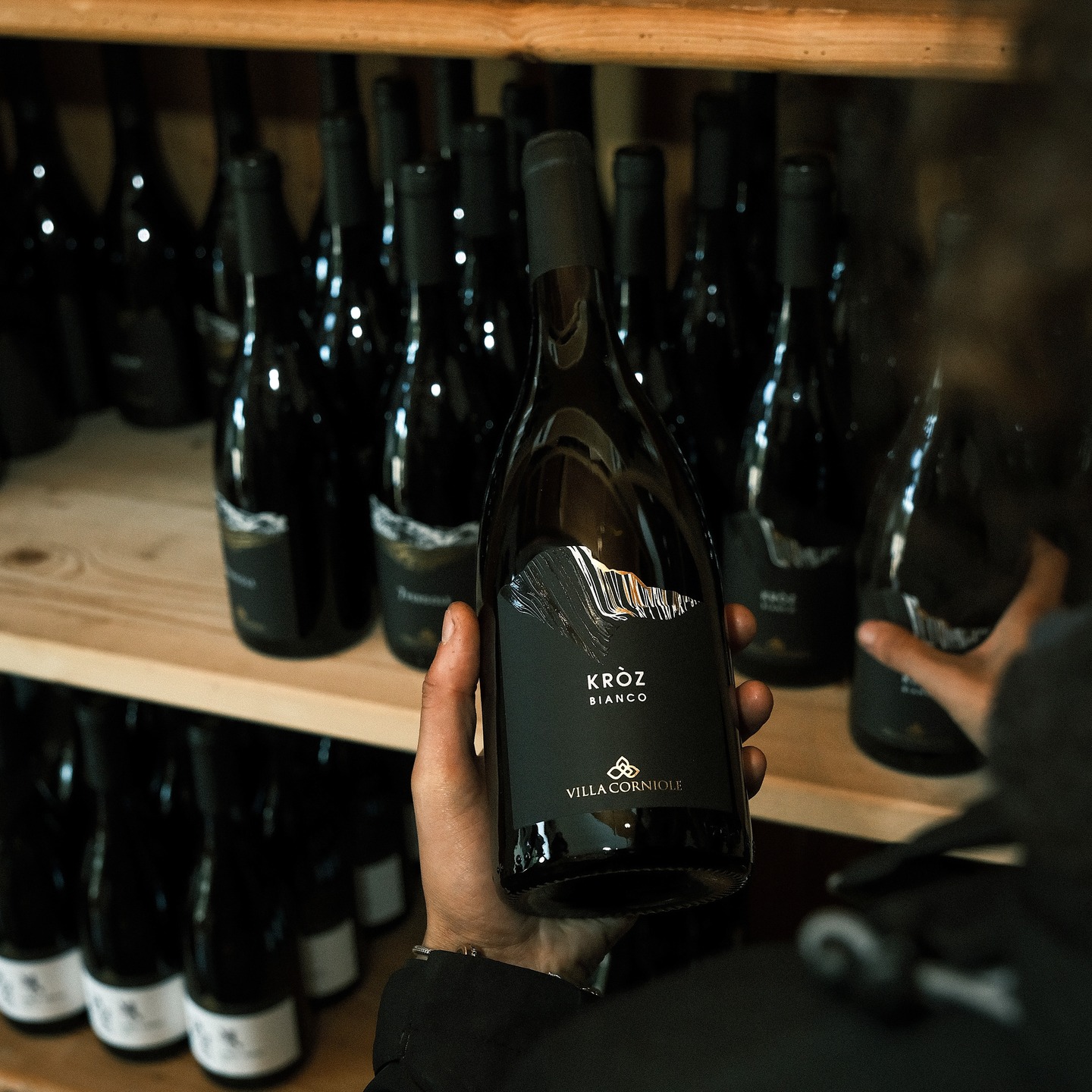 Scegli un regalo che parla di territorio e passione: i nostri vini di montagna raccontano la forza della Val di Cembra. Bottiglie che nascono tra pendii eroici e mani esperte, perfette per brindare insieme e trasformare ogni momento in un ricordo speciale.
Orari di apertura vinoteca in cantina: Lunedì/Venerdì: 09:00–12:00 e 14:00–17:30; Sabato: 09:00–16:00 su preavviso