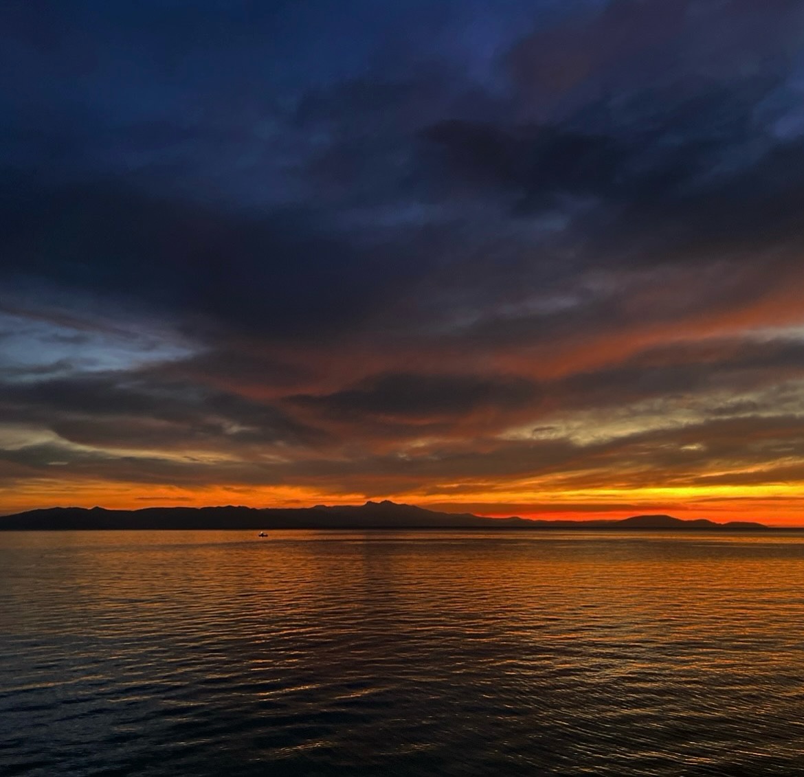 Ανατολή στη Νέα Μάκρη 😊 Μικρή υπενθύμιση της φυσικής ομορφιάς του τόπου μας.»
Captured by @maria_petropoulou_ #welovemarathon
Today’s sunrise over Nea Makri. A small reminder of the natural beauty of our area.
.
.
.
#Marathon #marathonas #greece #grecja #grece #grecia #hellas #hellada
#ανατολή #sunrise
#ανατολήηλίου #sunriselovers
#πρωινόςουρανός #morninglight
#χρώματαουρανού #dawncolors
#τοπίο #landscapephotography
#φύση #naturephotography
#ομορφιάελλάδας #beautifuldestinations
#εικόνεςελλάδας #travelgreece
#ειρηνικήστιγμή #peacefulmoment