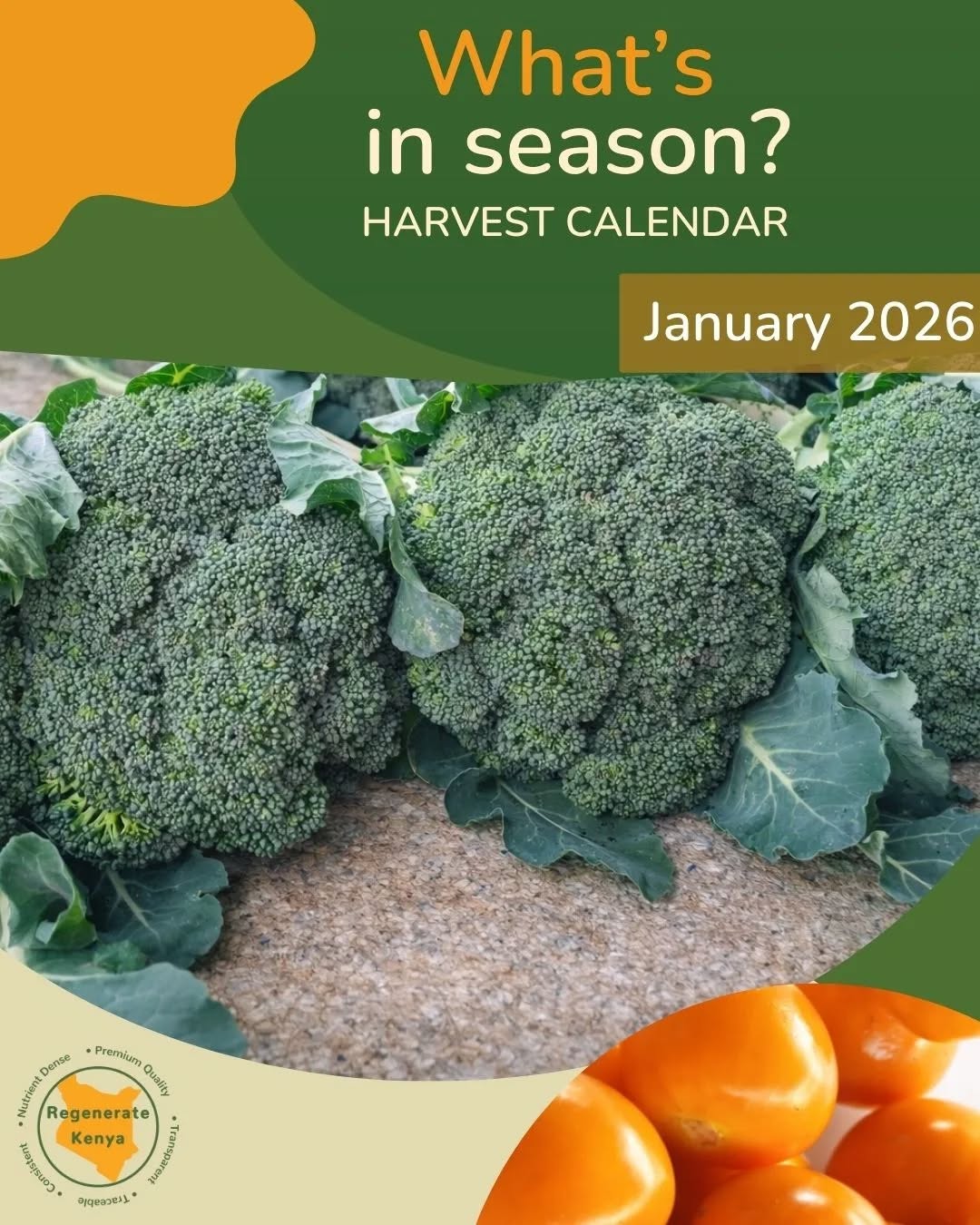 January is off to a beautifully abundant start 🌿
This month, expect plenty of broccoli, french beans, fresh leeks, and a vibrant mix of seasonal produce grown with care, intention, and respect for the land. From crisp leafy greens to specialty crops and farm-made value adds, our January harvest is all about eating in season, nourishing well, and starting the year grounded in goodness.
Everything you see is grown through regenerative farming practices; nurturing healthy soils, supporting biodiversity, and producing food that truly feeds both people and the 🌍💚
Explore what’s in season and stock your kitchen with farm-fresh goodness.
🛒 Shop the January harvest at shop.forestfoods.co.ke
#JanuaryHarvest #EatInSeason #RegenerativeFarming #FarmToTable #KenyanProduce