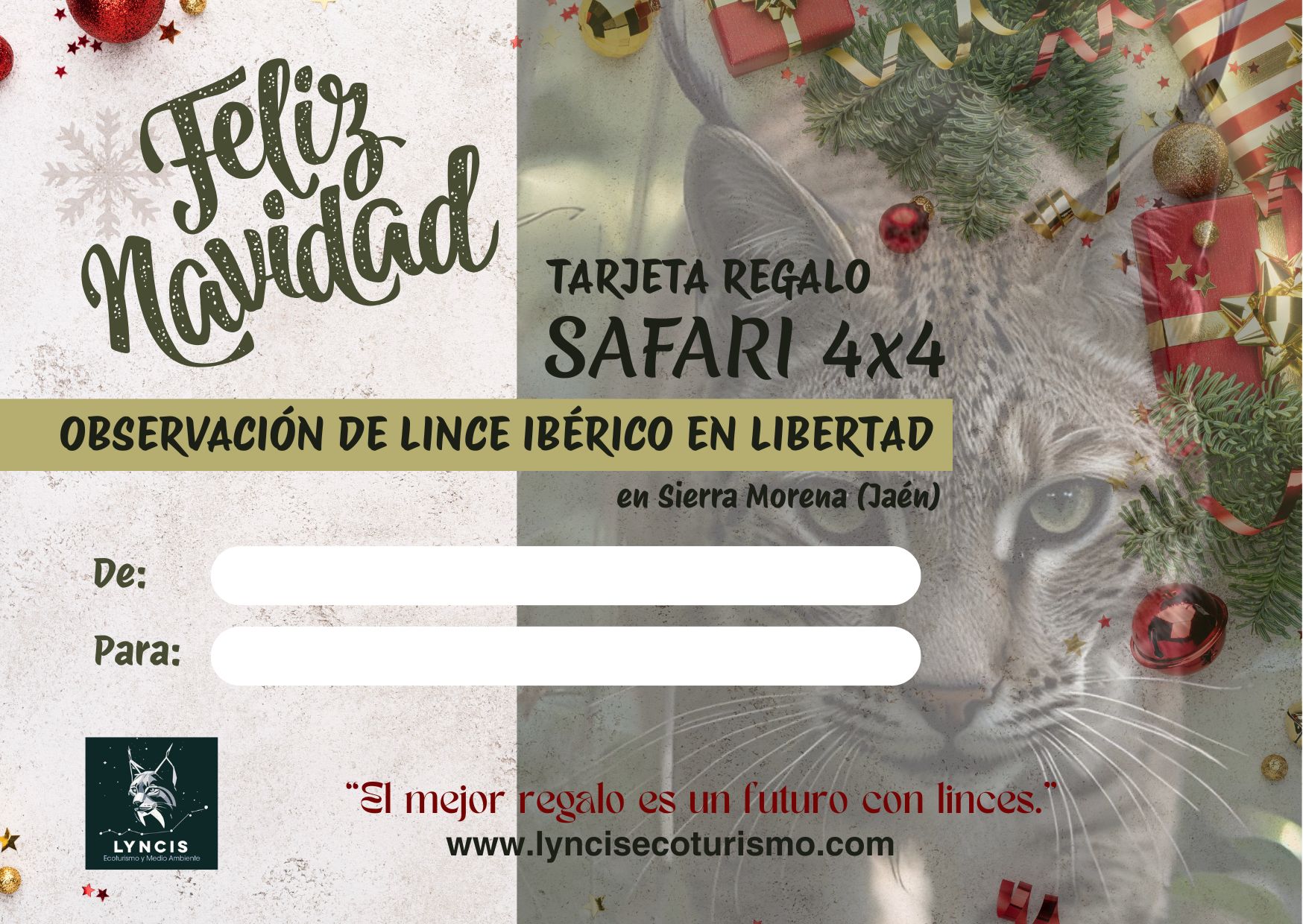 TARJETAS REGALO PARA NAVIDAD, PAPÁ NOEL, REYES MAGOS O CUMPLEAÑOS.
No es por meter presión, pero estamos casi en diciembre y sabemos que aún no tienes regalos de Navidad... 😮
Con nuestras tarjetas regalo regalas experiencias, regalas naturaleza y la posibilidad de disfrutar del lince ibérico en libertad de mano de guías expertos que te contarán mil y un secretos sobre la ecología, el comportamiento, el hábitat y la vida en general del lince y de otras especies de fauna ibérica en un entorno natural inigualable, con itinerarios tipo safari y esperas para poder observarlo y fotografiarlo.
También ofrecemos experiencias para observación de aves rapaces, esteparias o forestales, safaris para ver y fotografiar la berrea del ciervo, u observaciones astronómicas con telescopio en plena naturaleza...
Para tu pareja, para tu familia o para tus amigos, ¡o incluso para ti mismo/a!
Sólo tienes que indicarnos tu nombre, a quién quieres hacer el regalo, realizar el pago y te enviamos la tarjeta personalizada por correo electrónico para que puedas imprimirla o reenviarla a quien más quieras. ¡Más fácil imposible!
Si ya te querían antes ❤️, después de este regalo van a alucinar... 🥰😊
Contáctanos en:
www.lyncisecoturismo.com
lyncisecoturismo@gmail.com
Whatsapp: (+34) 603 90 74 35
o por mensaje privado a Instagram
🎁🎄