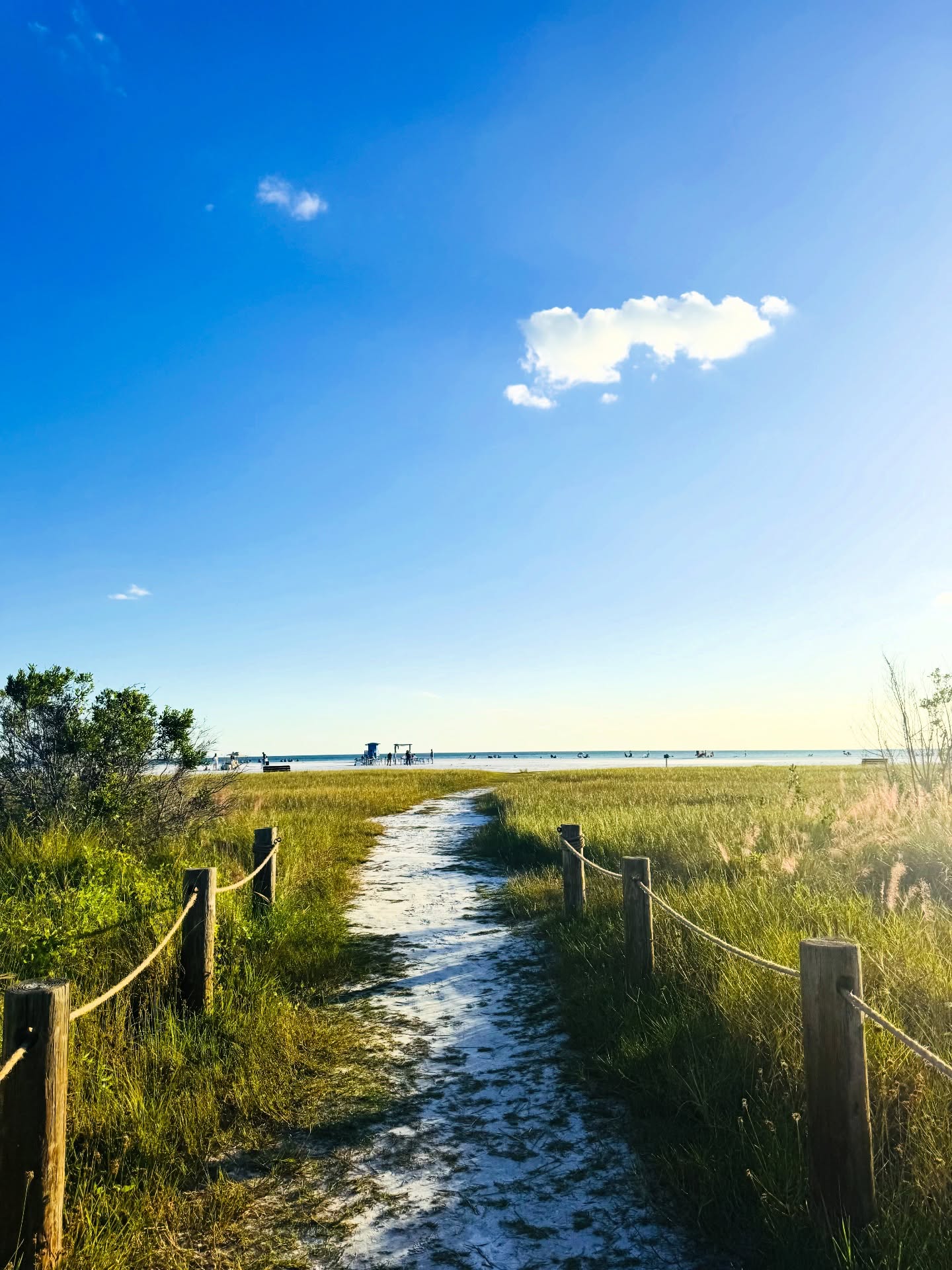 I can’t believe that four months have already passed since I arrived in this little corner of the world.
Sarasota, its people, its quiet rhythm, its light, has gently folded me into its embrace.
Here, life is teaching me that new chapters can feel like coming home, that taking the leap of faith matters, and that God often leads us forward through the “narrow gate,” the quiet, humble path where grace reveals itself.
#heartofcommunity #sarasota #tocreateistobecome