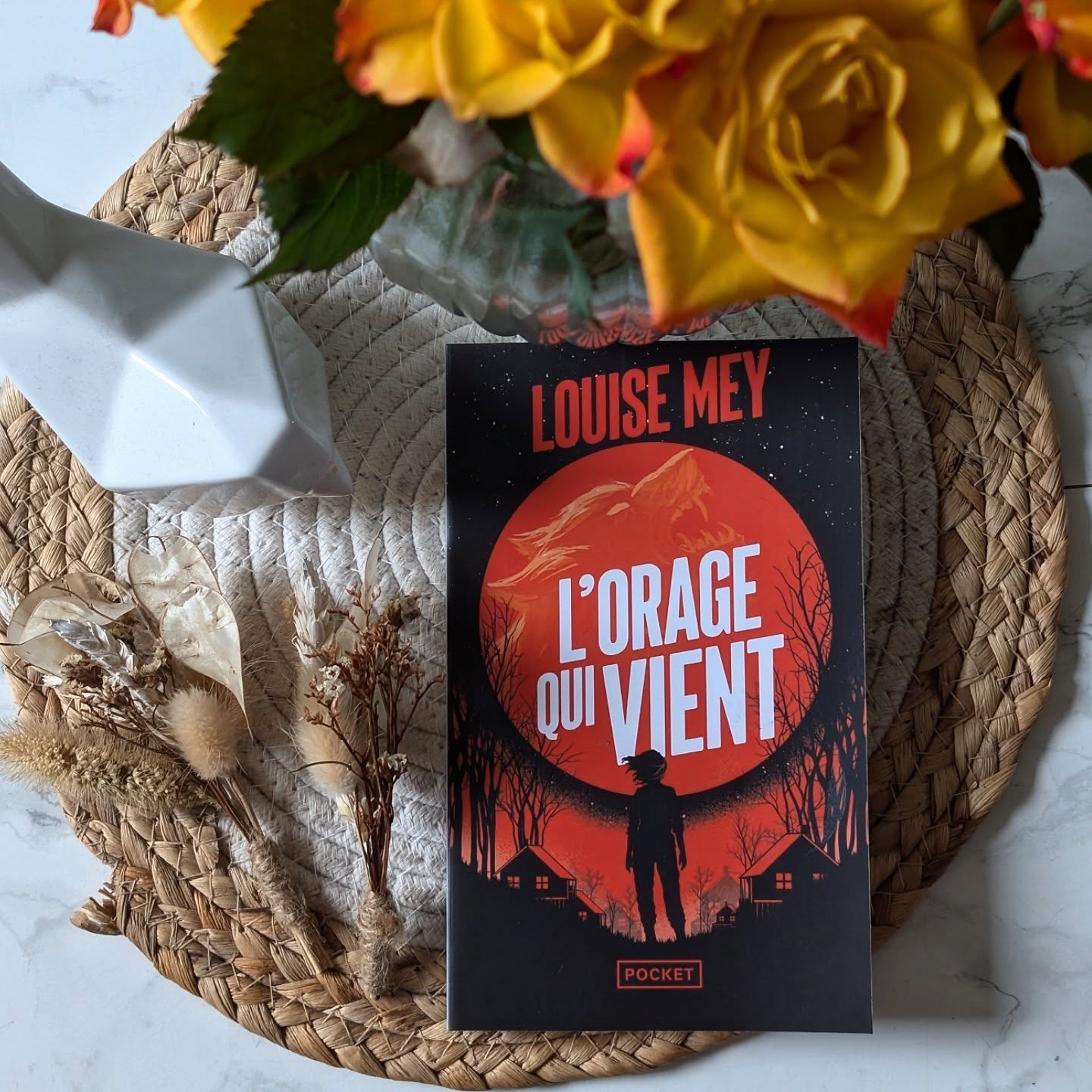 ✨ L’Orage qui vient - Louise Mey ✨
Mila a 15 ans. Depuis la Rétractation, elle vit avec sa mère et les autres femmes du Hameau. Cette communauté solidaire et isolée se pensait à l'abri de la violence et de la folie qui ont ravagé le monde d'Avant. Mais le Hameau est menacé, et Mina va devoir laisser parler sa vraie nature.
C’est un roman court, mais chargé d’une atmosphère très particulière. On se retrouve immergé dans un petit village isolé ou une communauté de femmes et d'enfants survivent comme ils peuvent.
J'ai beaucoup aimé Mila, l'héroïne, et découvrir peu à peu la force qu'elle a en elle.
Ce qui m’a tenu accroché, c'est le mystère, les secrets de la forêt et cette pointe de magie discrète mais omniprésente. Il y a une sororité dans cette histoire assez fragile, mais puissante malgré la peur qui plane sur ce hameau.
Le roman parle de pouvoir, de possession, mais aussi de résilience et de colère féminine qui couve. Et au cœur de tout ça, il y a l’adolescence : la peur d’être différente, l’envie d’être vue, la crainte d’être trahie. C’est subtil, brutal parfois, mais toujours incroyablement juste.
J'ai dévoré ce livre et j'ai passé un agréable moment. Louise Mey empreinte ici certains codes du thriller, mixer avec des touches d'imaginaire.
Publier en format poche chez @pocketimaginaire !
Et vous l'avez vous lu ?
#louisemey #roman #imaginaire #postapo #bookstagramfrance