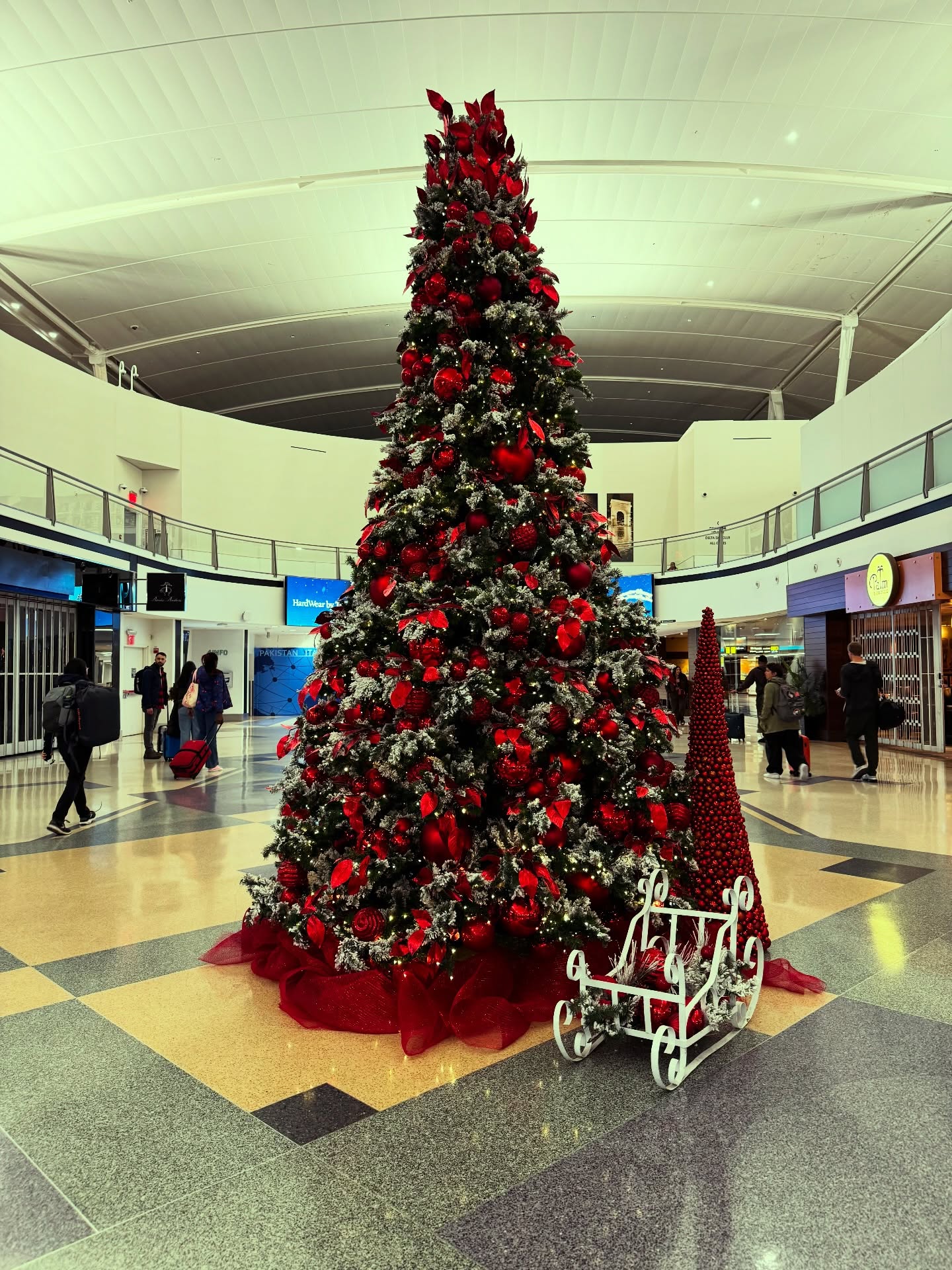 Day 29: It’s the holiday season and my heart smiles when I see so many beautifully decorated Christmas trees in the community. I have so many wonderful memories of this time of the year.
#november #daytwentynine #thankfulchallenge #christmastree #holidays #thankful #grateful #gratitude #blog #happy #memories #christmas #tasteoflife