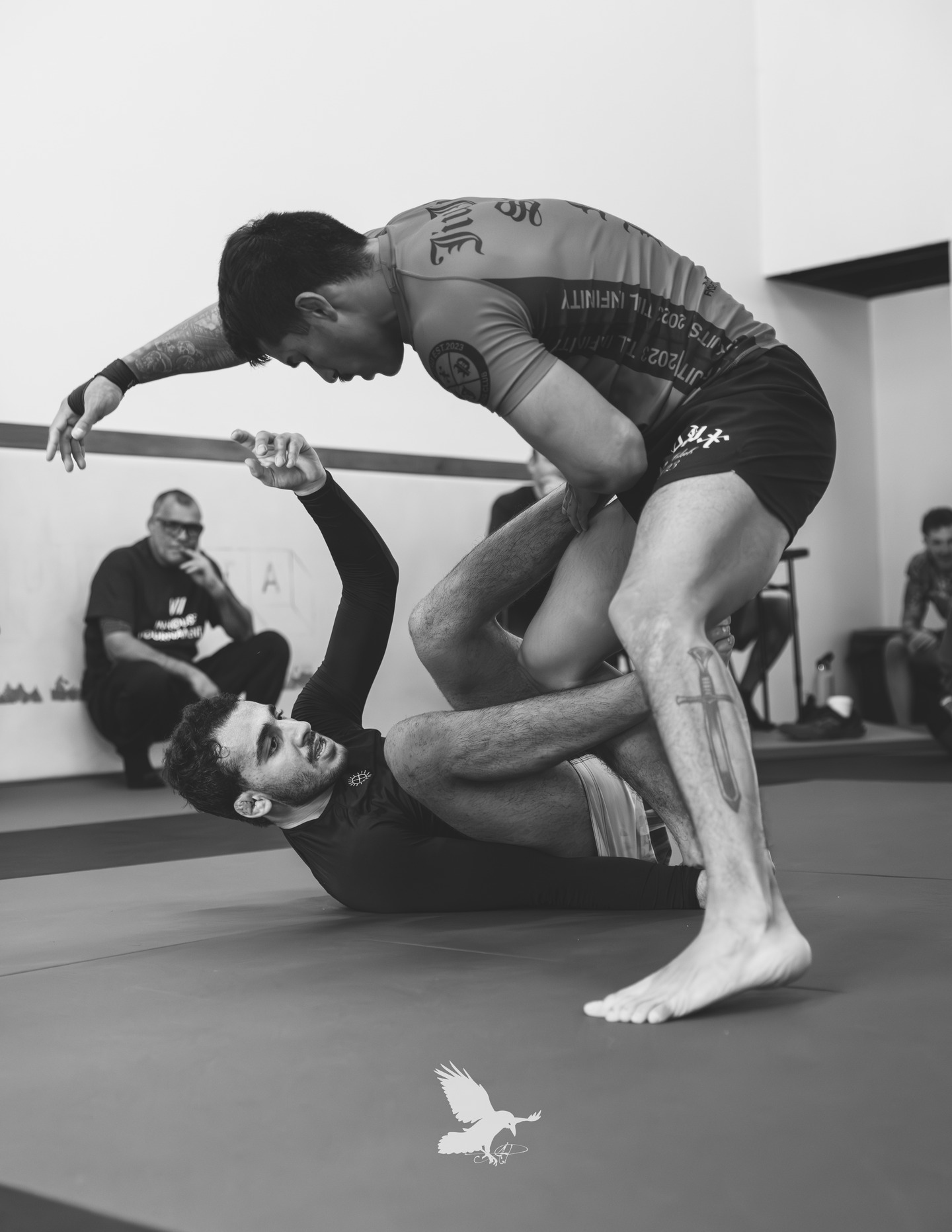 On Sunday, I competed in a BJJ tournament and then snapped some photos afterward. Enjoy a few of my favorites! A couple more to follow
#photooftheday