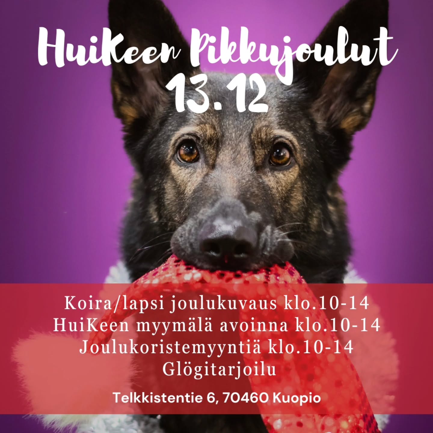 ❤️✨️ HuiKeen PIKKUJOULUT ✨️❤️
Koirien ja lasten joulukuvaus sekä avoimet ovet Tottis Studio HuiKeen hallilla 13.12. Klo.10-14! ✨️ Hallin osoite Telkkistentie 6, 70460 Kuopio
HuiKee Koiratarvike avoinna klo.10-14 sekä paikanpäällä joulukoristemyyntiä pukinkonttiin tai itselle juhlaa tuomaan @joulukoristeita 🎄🎀🤩 Paikalla myös glögitarjoilu sekä arvonta!
✨️ Pikkujoulujen tapahtuma sivu:
https://facebook.com/events/s/huikeen-pikkujoulut-2025/1221732776529032/
KOIRA / LAPSI VALOKUVAUS
❤️ Kuvaus maksaa 25€ ja se sisältää kaksi meidän valitsemaa kuvatiedostoa valmiiksi käsiteltynä sähköisessä muodossa. Kuvien toimitus ehtii hyvin ennen joulua - kuvat asiakas saa sähköisenä, jolloin niitä voi jakaa somessa tai esim. tulostaa itse korteiksi.
❤️ Jokainen varaa etukäteen oman 15min kuvausajan, saavu paikalle noin 5min ennen hoitamaan maksu. Ajan puitteissa voidaan kuvata lauman useampi koira yhdessä/erikseen tai voit ottaa esim kaksi peräkkäistä aikaa (tällöin hinta 2x25€).
Varattavissa olevat ajat näet tapahtumasta.
❤️ Varaa oma aikasi sähköpostilla: tottisstudiohuikee@gmail.com. Vapaita aikoja päivitetään fb-tapahtumaan.
☆ ilmoita samalla omistajan tiedot: nimi ja sähköpostiosoite, johon valmiit kuvat lähetetään sekä lapsen nimi / koiran nimi sekä rotu.
❤️ Kuvaus on hallissa violetilla taustalla kuten mainoksessa. Meillä on paikanpäällä jouluinen rekvisiitta ja valmiit kuvat saat Hyvää Joulua -tekstillä sekä ilman. Esimerkki kuvia löydöt meidän fb-tapahtuma sivulta.
❤️ Kuvaus maksetaan paikanpäällä mobilepay/käteinen/kortti.
❤️ Saavu kuvausajalle ajoissa n.5-10min ennen - tule ensin halliin ilman koiraa. Kulku hallin etupuolen nosto-ovesta, maksu myymälään.
✨️ Kuvauksen kuvat ehtivät hyvin ennen joulua ✨️❤️
Tervetuloa!
#pikkujoulut #huikee #tottisstudiohuikee #koirakoulukuopio