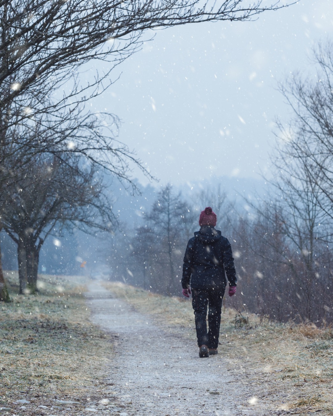 ❄️ Step into the magic of winter with our favourite walking trails across Sherwood Forest, Clumber Park, and beyond. 🌲✨
Follow in the footsteps of Robin Hood as you wander through ancient woodland, where frost-dusted trees and quiet forest paths create a true winter wonderland. At Clumber Park, enjoy peaceful lakeside views and sweeping parkland perfect for a crisp countryside stroll.
Whether you’re after a gentle wander or a longer hike, our hand-picked routes suit all abilities and promise stunning scenery along the way. 🥾
Perfect for families, nature lovers, and anyone looking to unwind in the great outdoors, these walks are a wonderful way to experience Nottinghamshire’s natural beauty this season.
Visit our website for more details.
#VillageHolidays #WinterWalks #SherwoodForest #ClumberPark #ExploreNottinghamshire #NatureLovers #CountrysideEscape #RobinHood #WinterAdventures