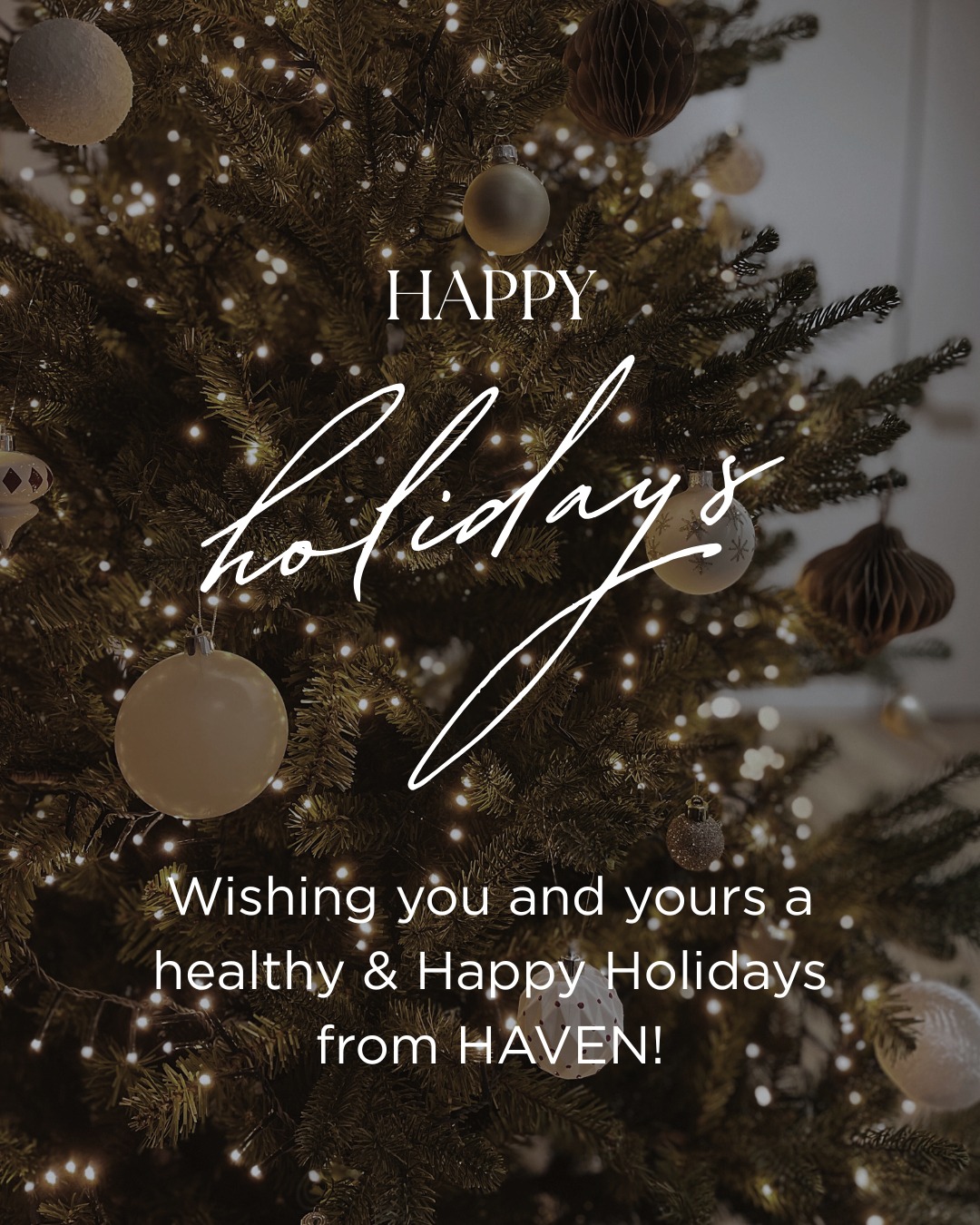 Wishing everyone a very healthy & Happy Holidays from our HAVEN family to yours! #happyholidays #happy #healthy #holidays #holidayseason #merryandbright #chicago