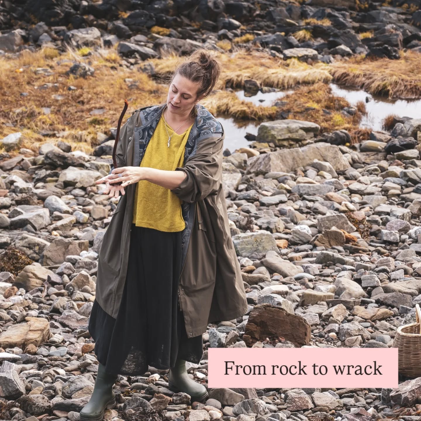 Sometimes coastal foraging workshops feel like magic... The names are amazing and playful. The locations are inspiring and beautiful. I haven't even mentioned sea muff 😆🙌
I love this spot on Skye so it was a pleasure to be back last month working with @weareclimavore on their Tidal Gardens Project. We had the loveliest group of home education folks from across the island. I am always in awe of families that educate outside of our school systems and it was a great experience to show them what I know for a few hours.
Thanks everyone ☺️🪸
📷 @jordangyoung