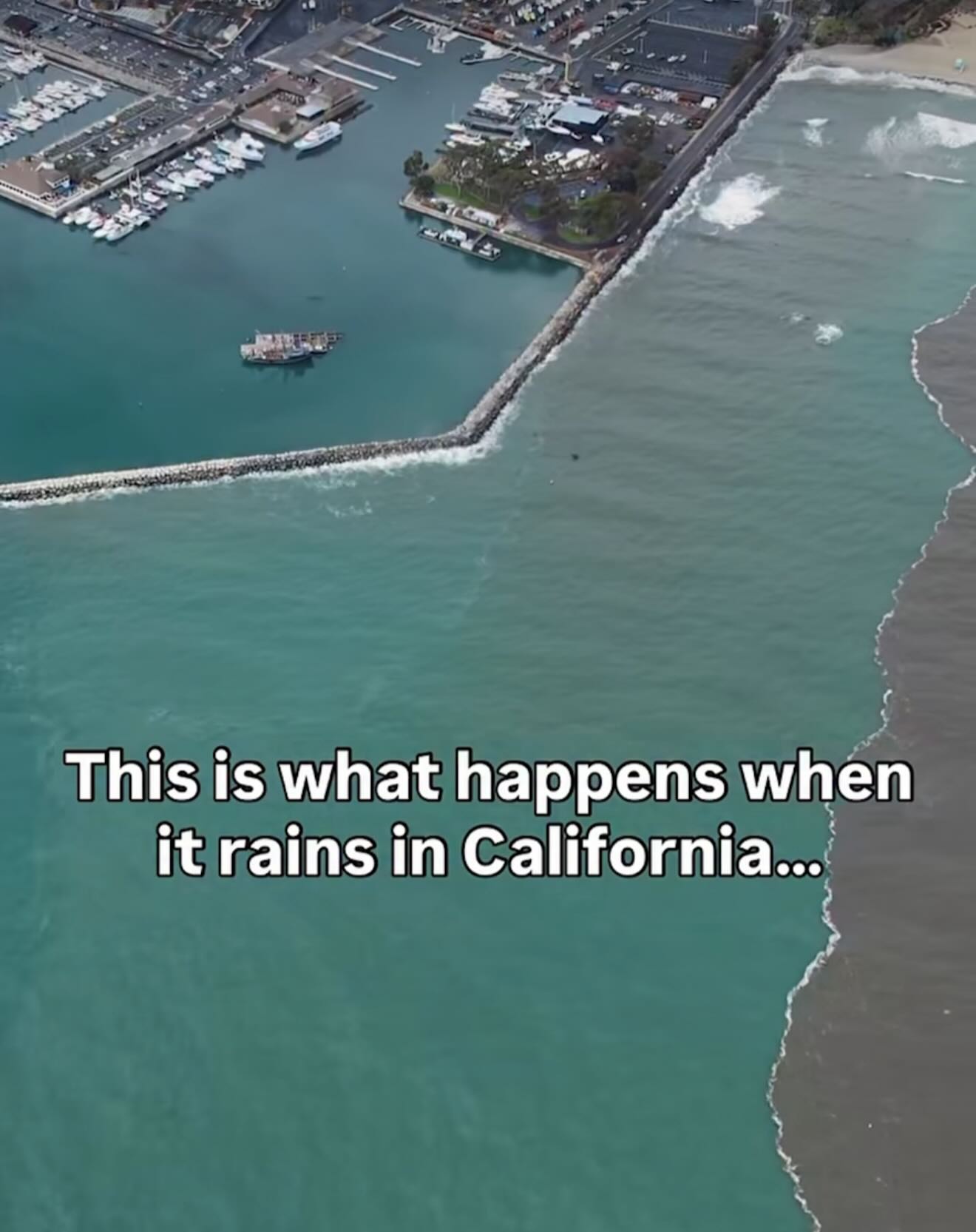 When you’ve lost 91% of California’s wetlands, all the stormwater has no intermediate holding place and goes directly into the ocean. No fun surfing in that water 😰
