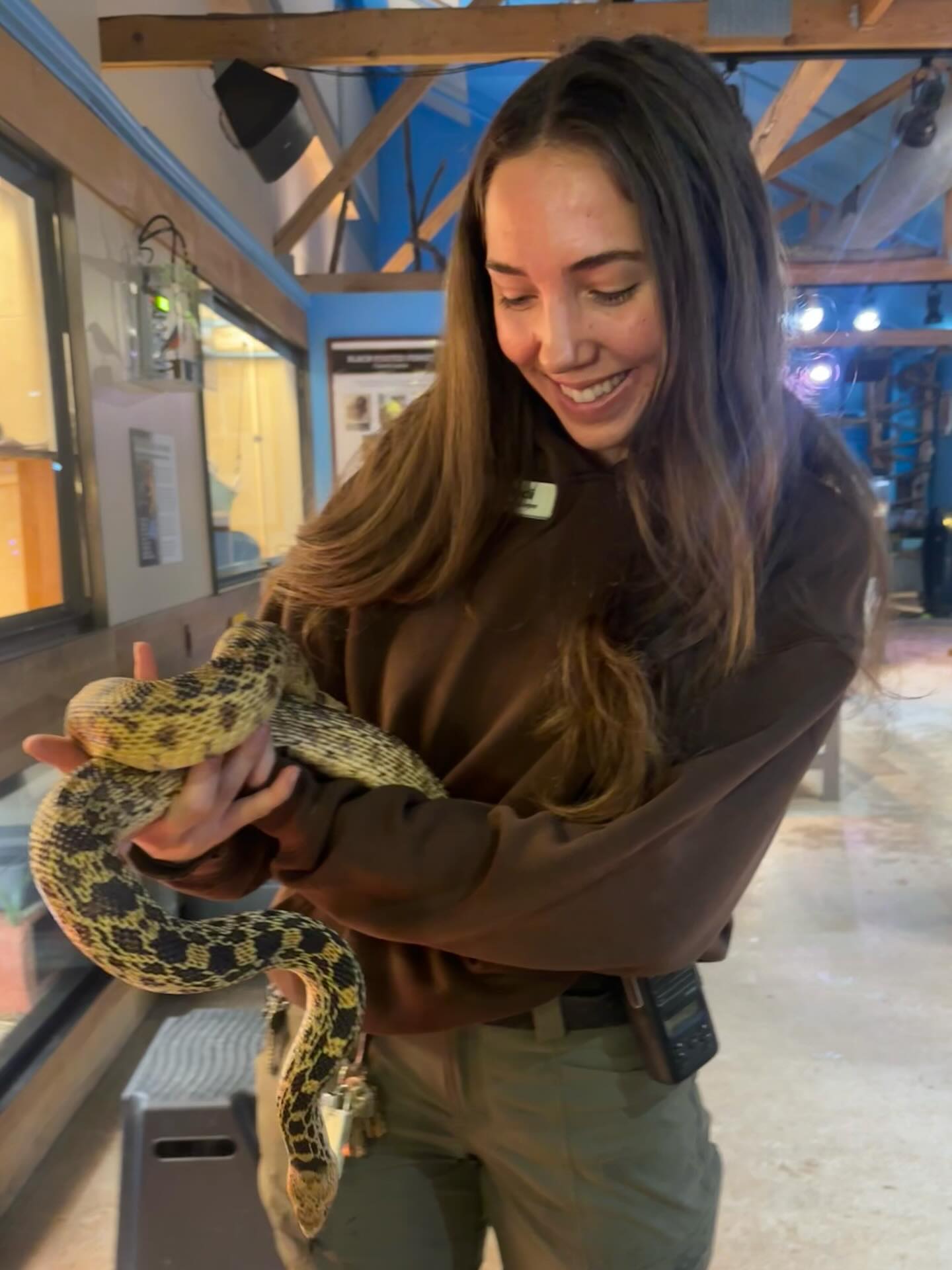 The annual Rustle electric safari photo! Love the Loft animals 💗🎄