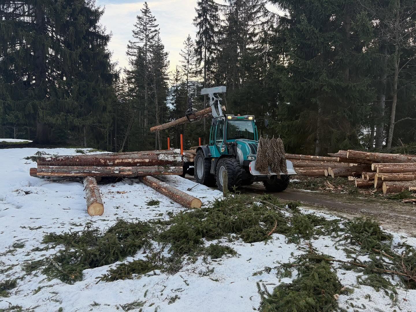 ๐ฒ๐ชตโบ๏ธ