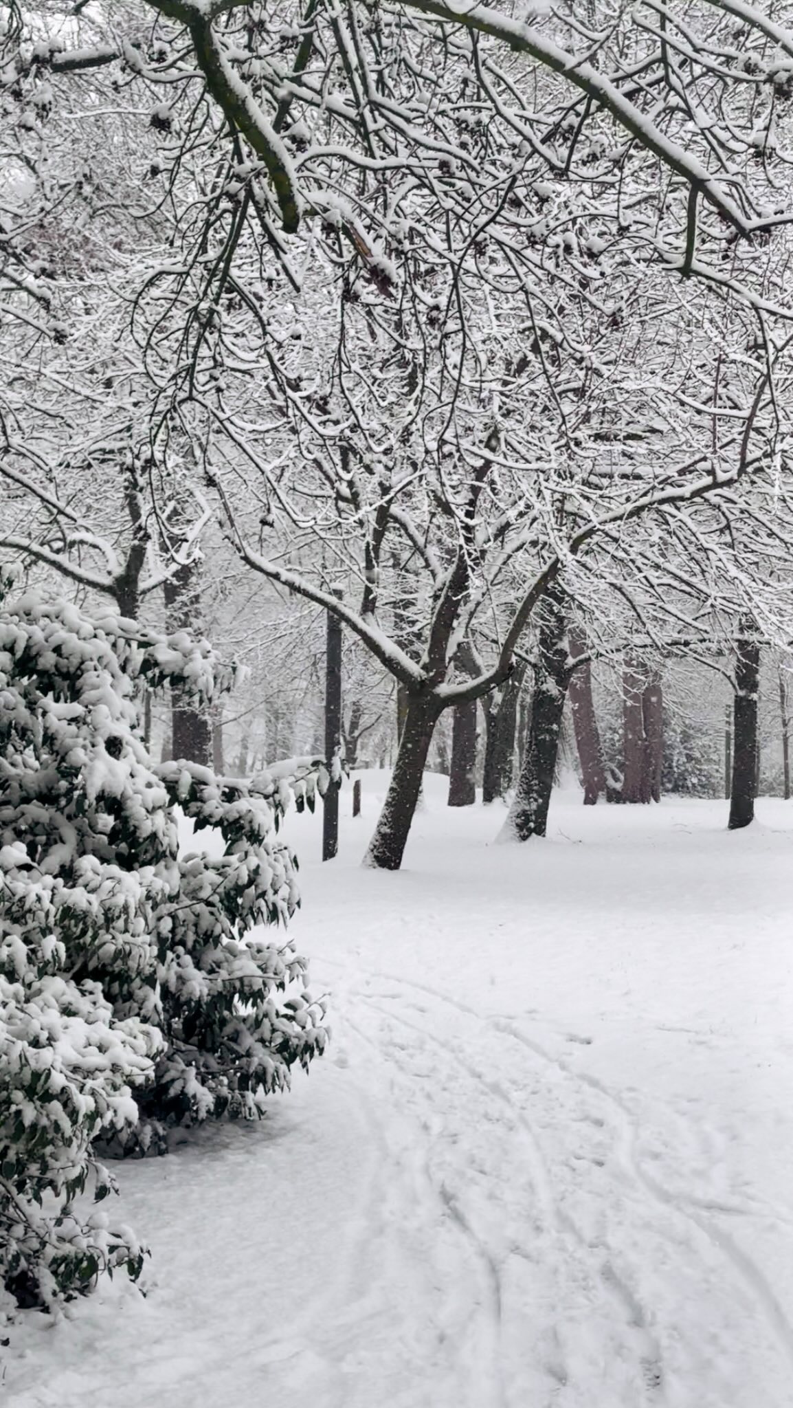 Ce serait dommage de louper cette incroyable chance 😍
#photographerouen #snow #wintershooting📷❄️