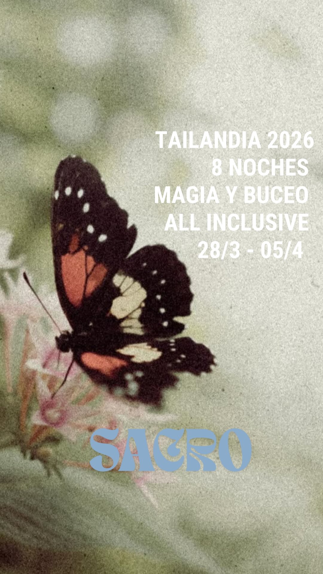 Retiro de magia y buceo en Koh Tao, semana santa 2026 🧚🏻♀️
Qué encontrarás en este retiro único?
🌀Clases diarias de Yoga, movimiento y respiración consciente para todos los niveles
🌀 Cursos de buceo con enfoque terapéutico
🌀Terapias holísticas, ceremonias de Reiki, Tarot, Astrología, Registros Akáshicos
🌀Workshops de conservación marina, filosofía del yoga y más
🌀Círculos, conexión con la naturaleza, snorkel y trekking
🌀Alimentación a base de plantas
🌀 En una isla paradisiaca de tan solo 7km al sur de Tailandia
AÚN QUEDAN PLAZAS
👉🏼 RESERVÁ LA TUYA AHORA
Comenta SACRO y te enviamos todo lo que tienes que saber para ser parte de esta aventura!
#retirobuceoyoga #kohtaodiving #retiroyoga #retirotailandia #muyfrescocommunity #retirosacro