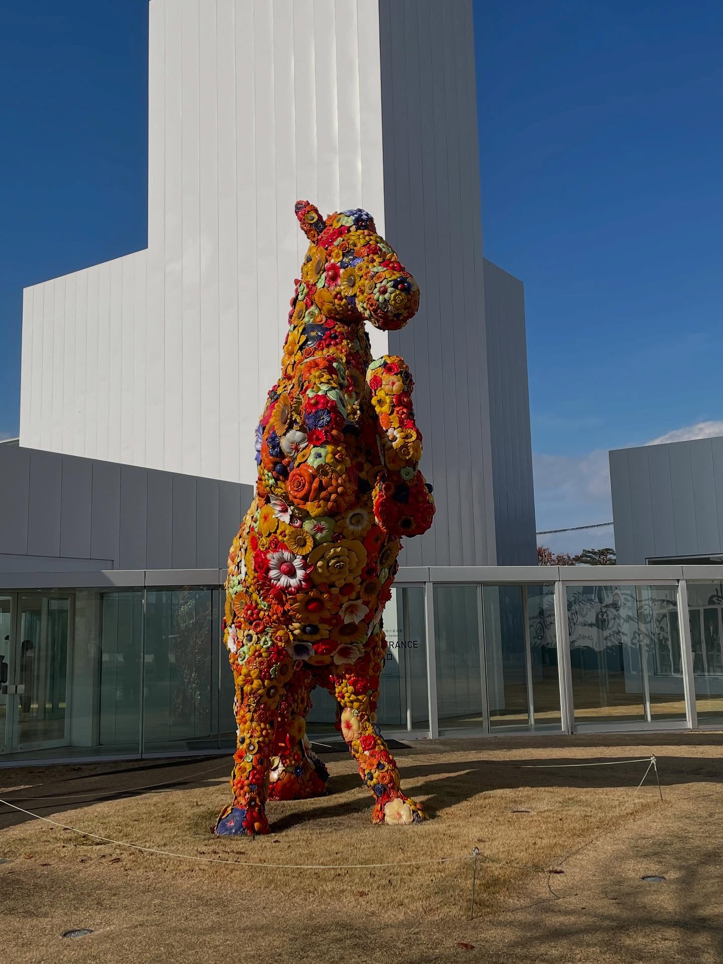 Exploring Tohoku: Towada