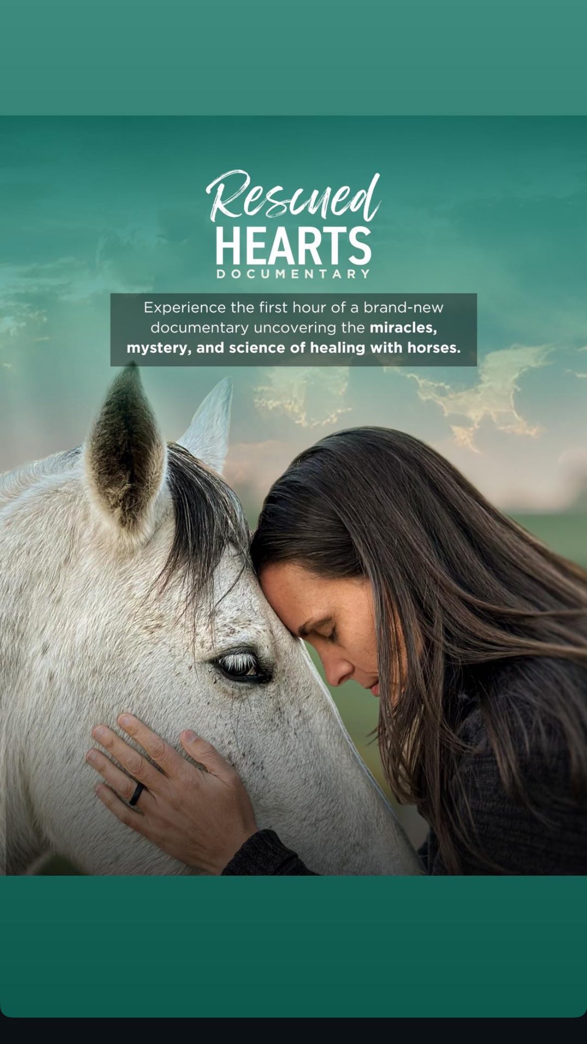 Experience the first hour of Rescued Hearts, an award-winning film about the miracles, mystery, and science of healing with horses.
Get your ticket now at RescuedHeartsFilm.com and watch anytime from December 6 - 7.
We filmed in 4 countries, 31 cities, and for 2.5 years. What unfolded in front of our lens is truly beyond words and we can’t wait to share it with you!
We are so grateful to Equine Connection - The Academy of Equine Assisted Learning (@equineconnection_intl) for sponsoring this special 48-hour virtual event!
#rescuedheartsfilm
#healingwithhorses
#horsehumanconnection