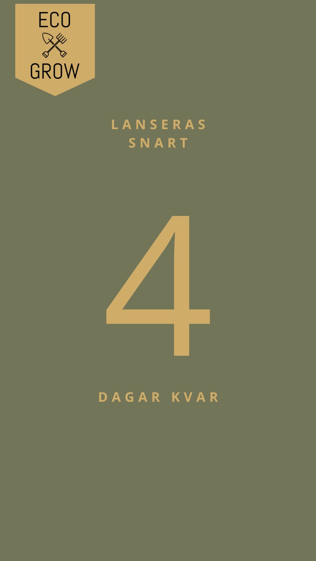 Nu på fredag den 12 december lanseras äntligen våra frönyheter!
Varje sort är utvald med omsorg och provodlad hos oss, och vi har bara tagit med det som gett riktigt fina skördar och verkligen imponerat.
Det ska bli så roligt att äntligen få presentera nyheterna, och ännu roligare att höra vad ni tycker när ni själva odlat dem i era trädgårdar! 🌱💚