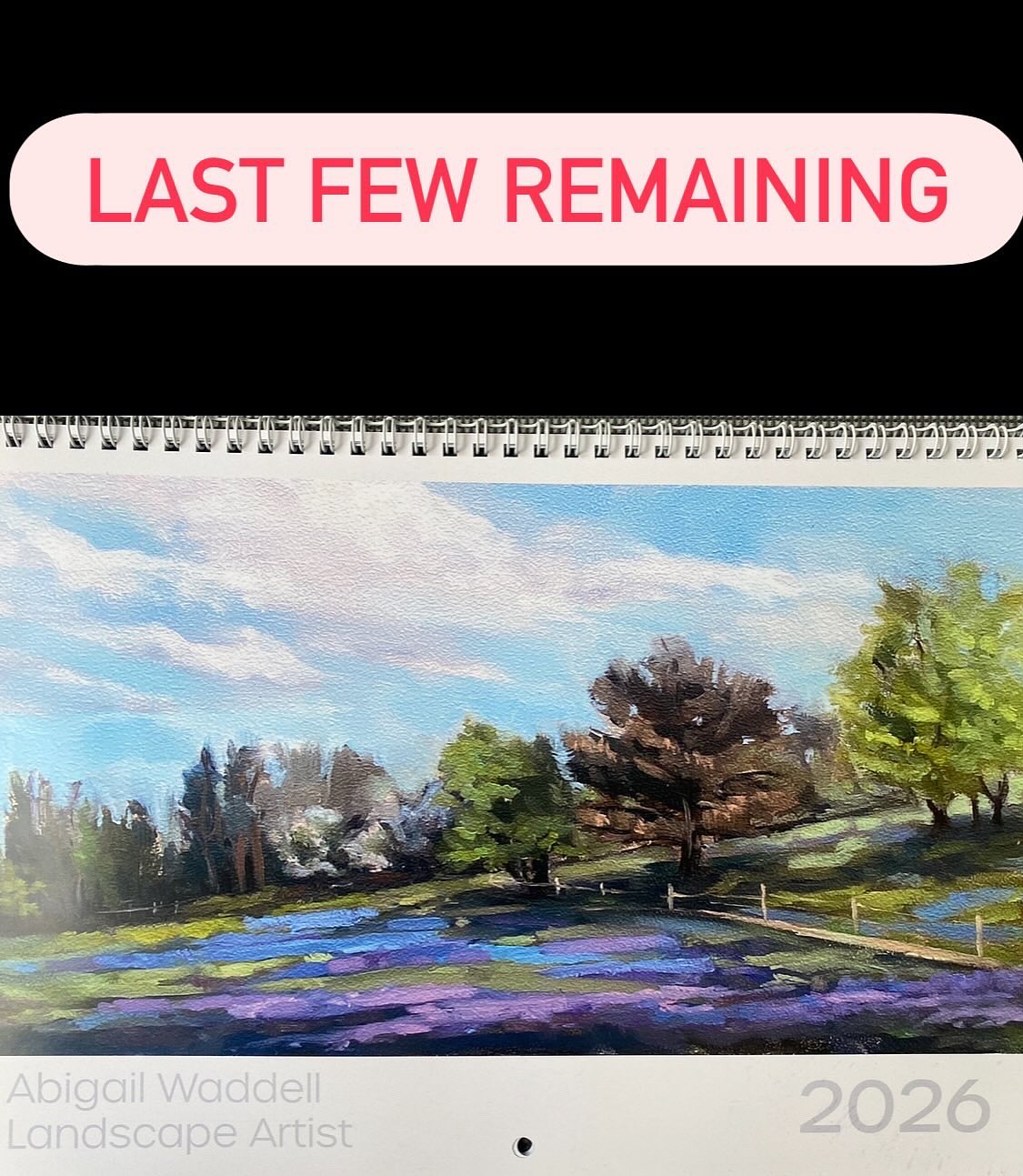 ### LAST FEW CALENDARS AVAILABLE ###
I still have a few 2026 calendars left - Twelve of my favourite recent paintings- most of these originals have sold, but you can have them all in your wall this year for just £15 ( plus £3 p and p) . They make great Christmas gifts for hard- to -buy -for people …
Click in the link in bio to buy from my website, and I will send it this week ,
( I am happy to deliver of you live local to Cirencester- just message me to buy and arrange)……