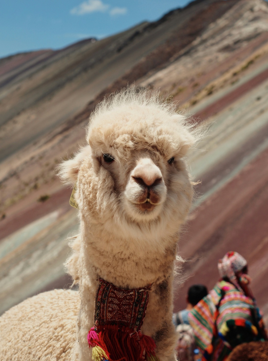Adventure Travel to Peru. Lots of outdoor activities to do in Peru, including, biking, hiking and rafting... Beautiful landscape, friendly people and the food is delicious!! Safe and easy to get to with nonstops from LAX, MIA, and IAH. #monterratravel #perú #vinicunca #alpaca