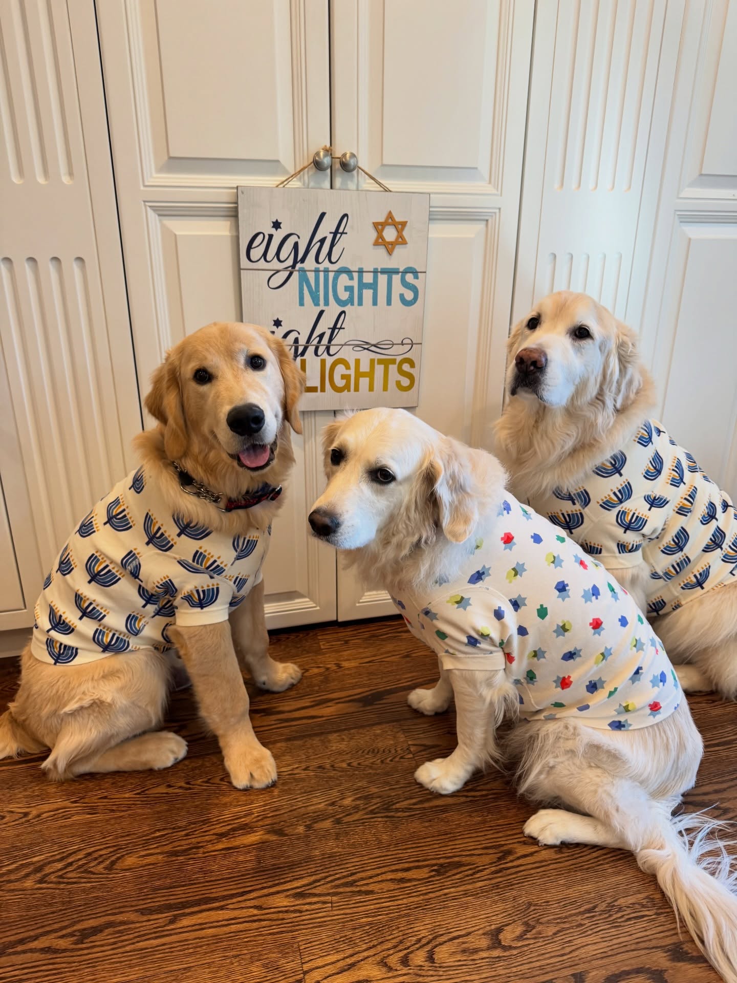 Let’s face it: Only one of these guys is too young to realize this is kind of humiliating or thinks the treats are worth it. I brought out the good treats for the second picture. Happy Hanukkah! 🐾💙
Harley is a golden retriever allergen alert service dog trained to detect peanuts for her peanut allergic human. Harley is also known as Detective Harley, F.A.D.D. Food Allergy Detection Dog®️. Cody is her little brother and is training to be just like her. Joey is our Treat Distribution Supervisor. We help food allergy families navigate snacks, restaurants, and food allergy life, one whiff at a time.
🐾 This account is for information only. You should be certain to conduct your own research to ensure your safety from your allergens.
🐾 We encourage sharing our content to help educate and spread food allergy awareness.
@hannaandersson @adamsandler
#foodallergies #servicedog #goldenretriever