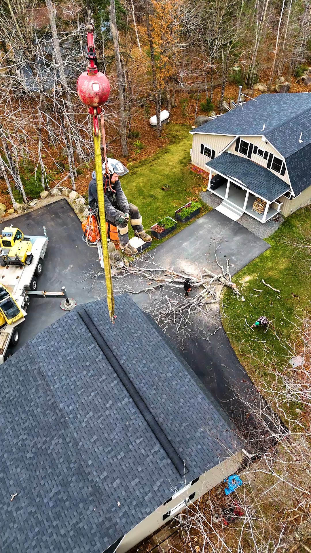 If you hate an arborist just hire him and let nature run it's course.
.
.
.
.
#belangertreecare #arborist #arboristsofinstagram
#skowhegan #skowheganmaine #forestry #chainsaws
#centralmaine #mainebusiness #treecare
#treecarebusiness #treeclimbers #logging