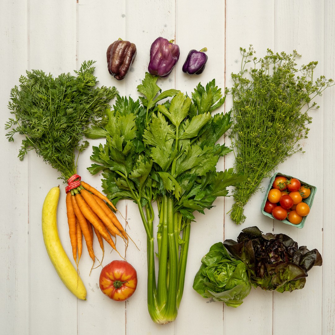 Our December newsletter is out.
This year showed us what’s possible when communities choose to support farmers directly and what’s at risk when public funding falls away.
In this issue, we share:
• why community support is critical heading into 2026
• reflections from a global CSA gathering with farmers from 40+ countries
• a bright winter salad recipe to carry you through the holidays
If CSA, fair pay for farmers, and access to good food matter to you, this one’s worth reading.
👉 Link in bio
#CommunityPoweredFood #SupportFarmers #CSA #FoodJustice #LocalFoodSystems #PNWCSA